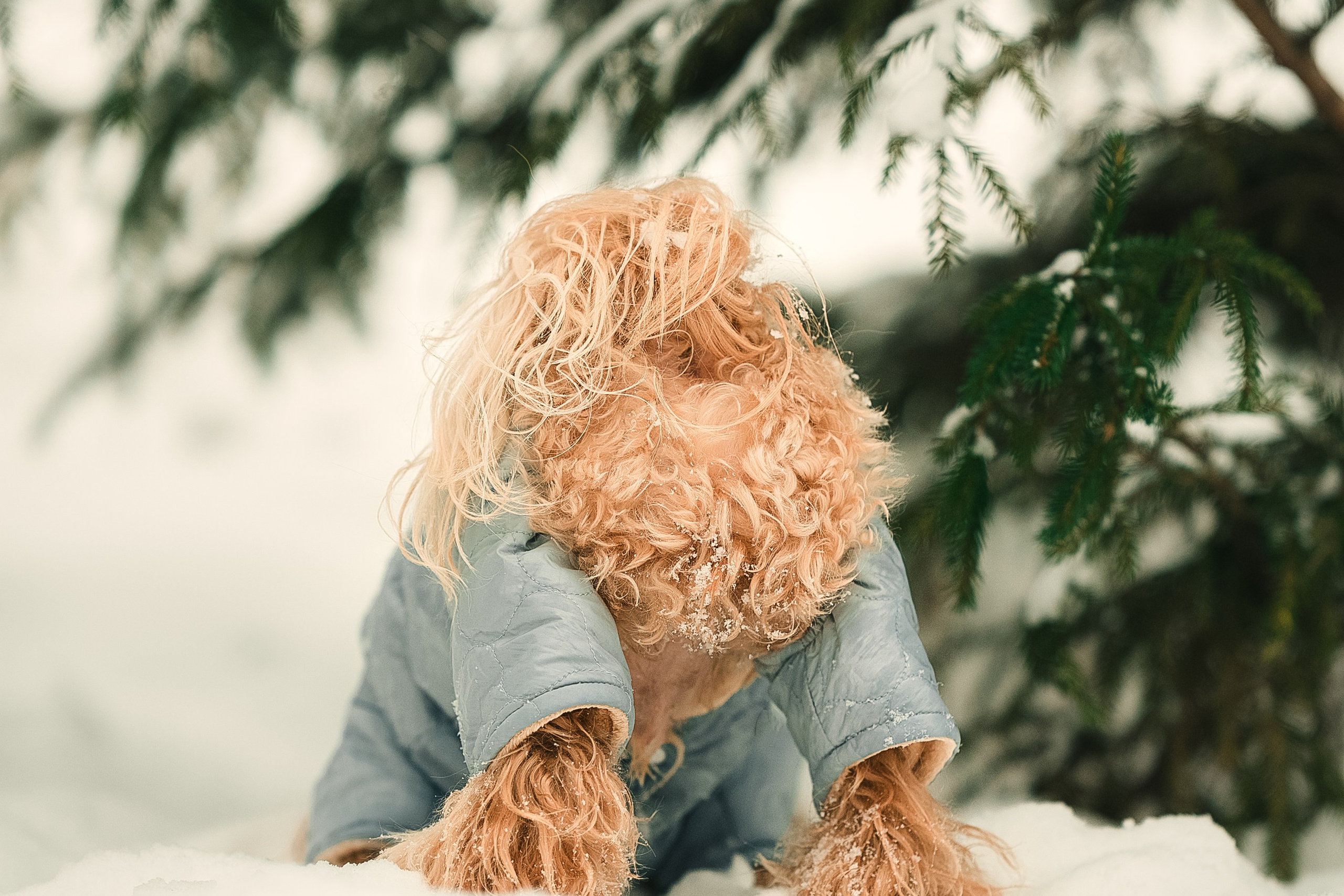 Марина и Чарли