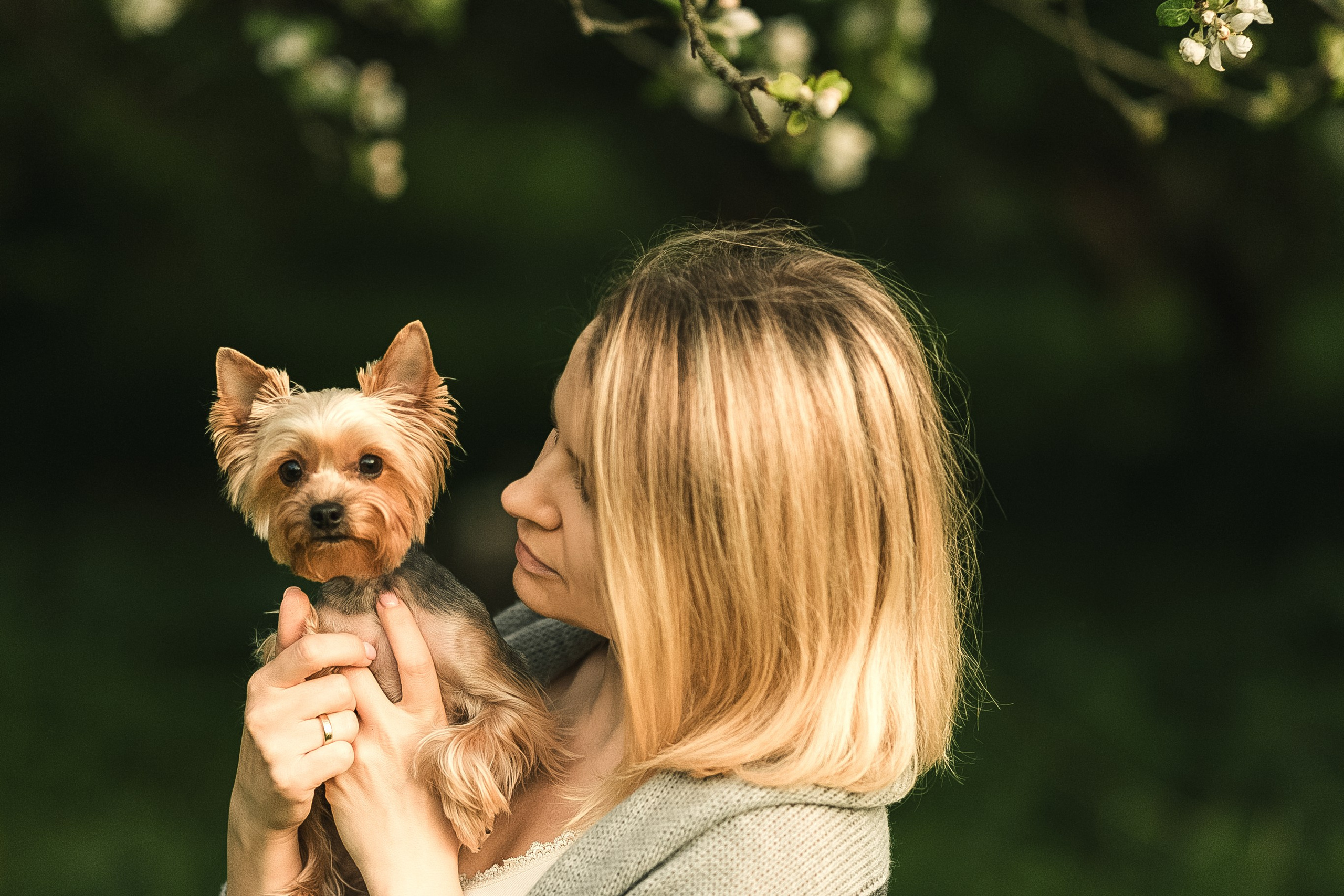 фотограф собак МО