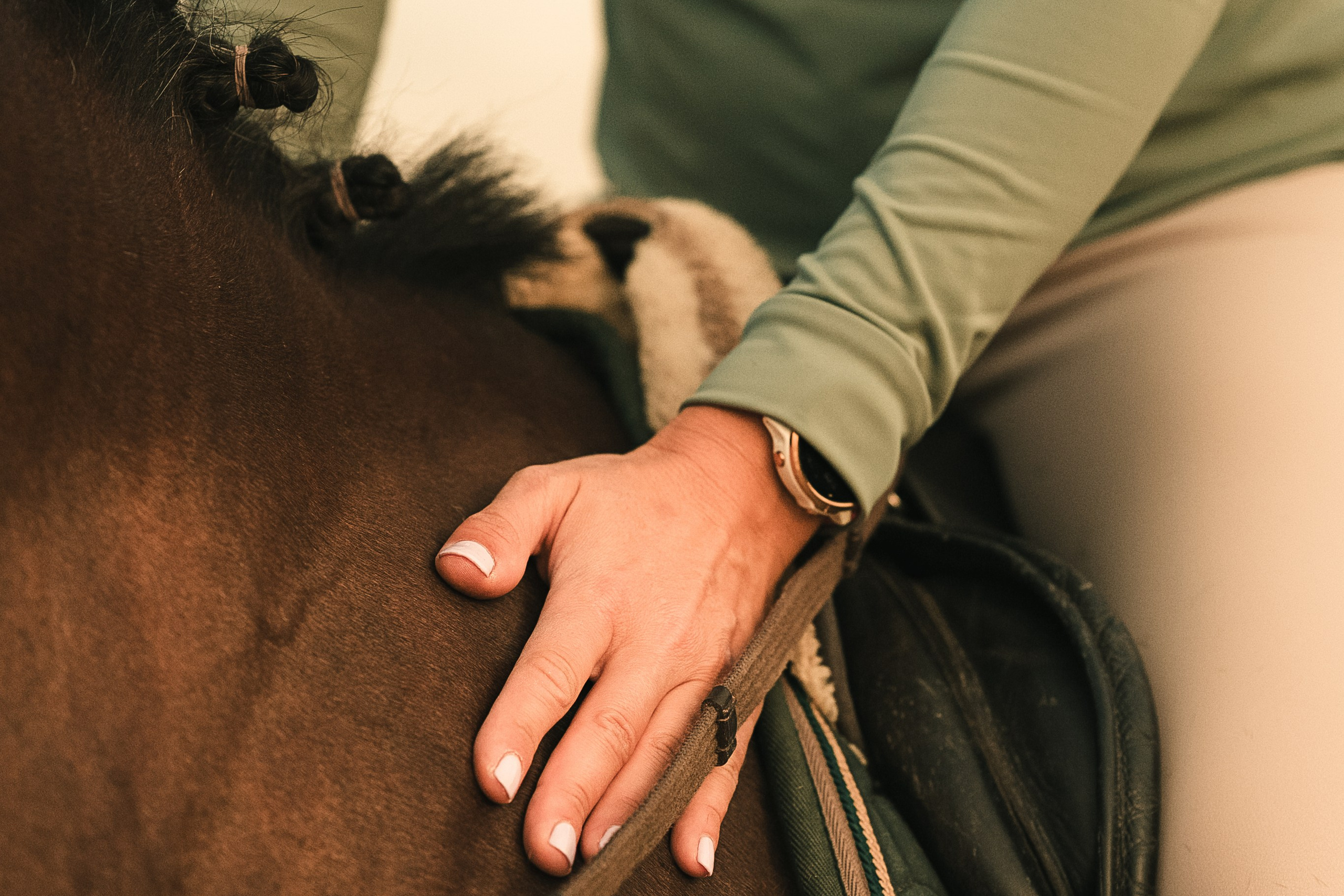 Съёмки с лошадьми