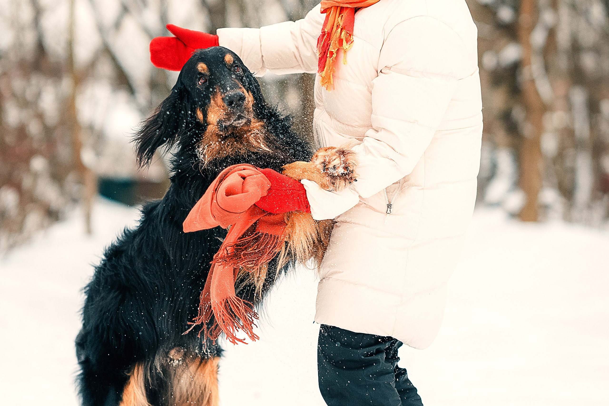 Анна и Тайгер