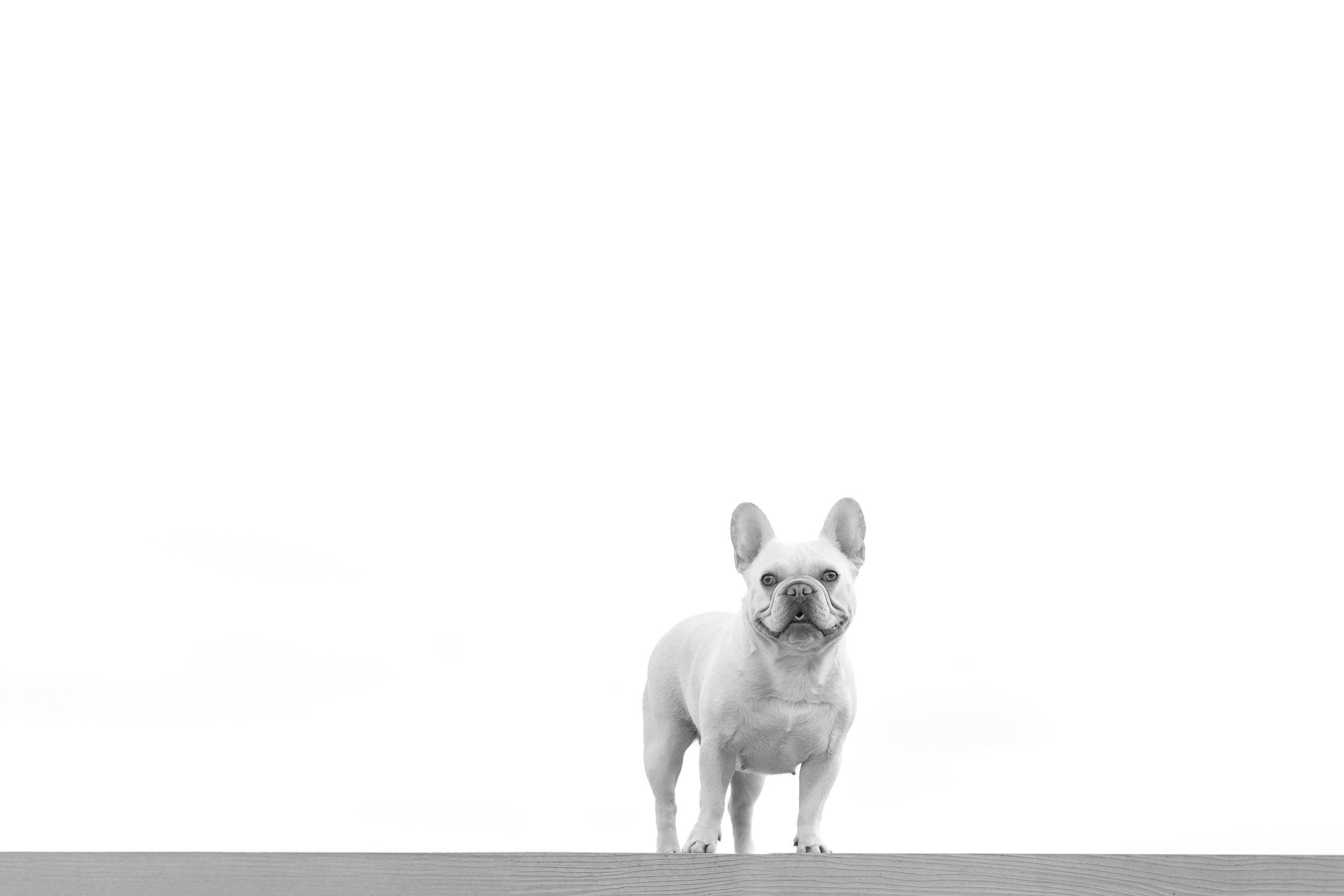 Светлана и Маруся