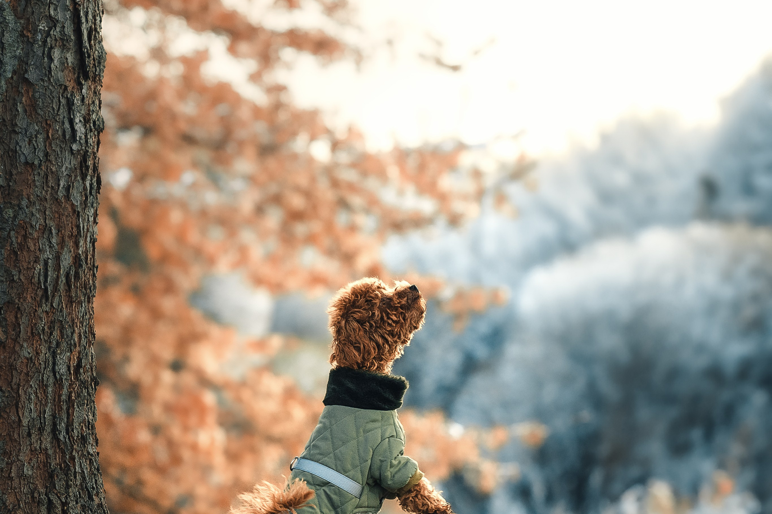 Наталья и Руби