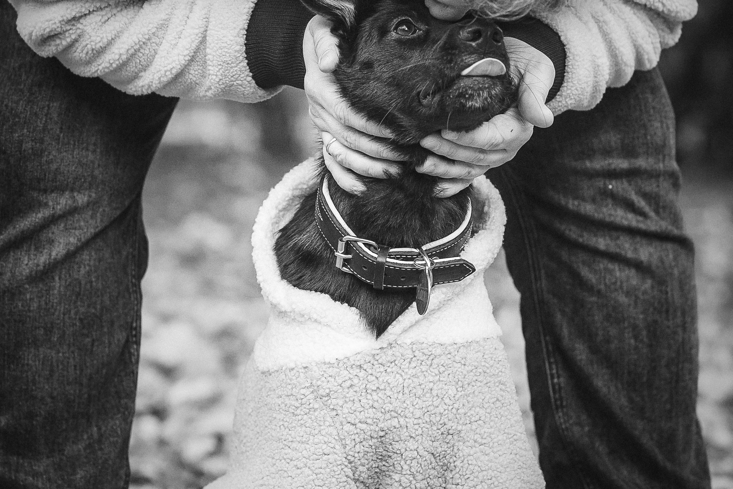 Полина, Антон и Наоми