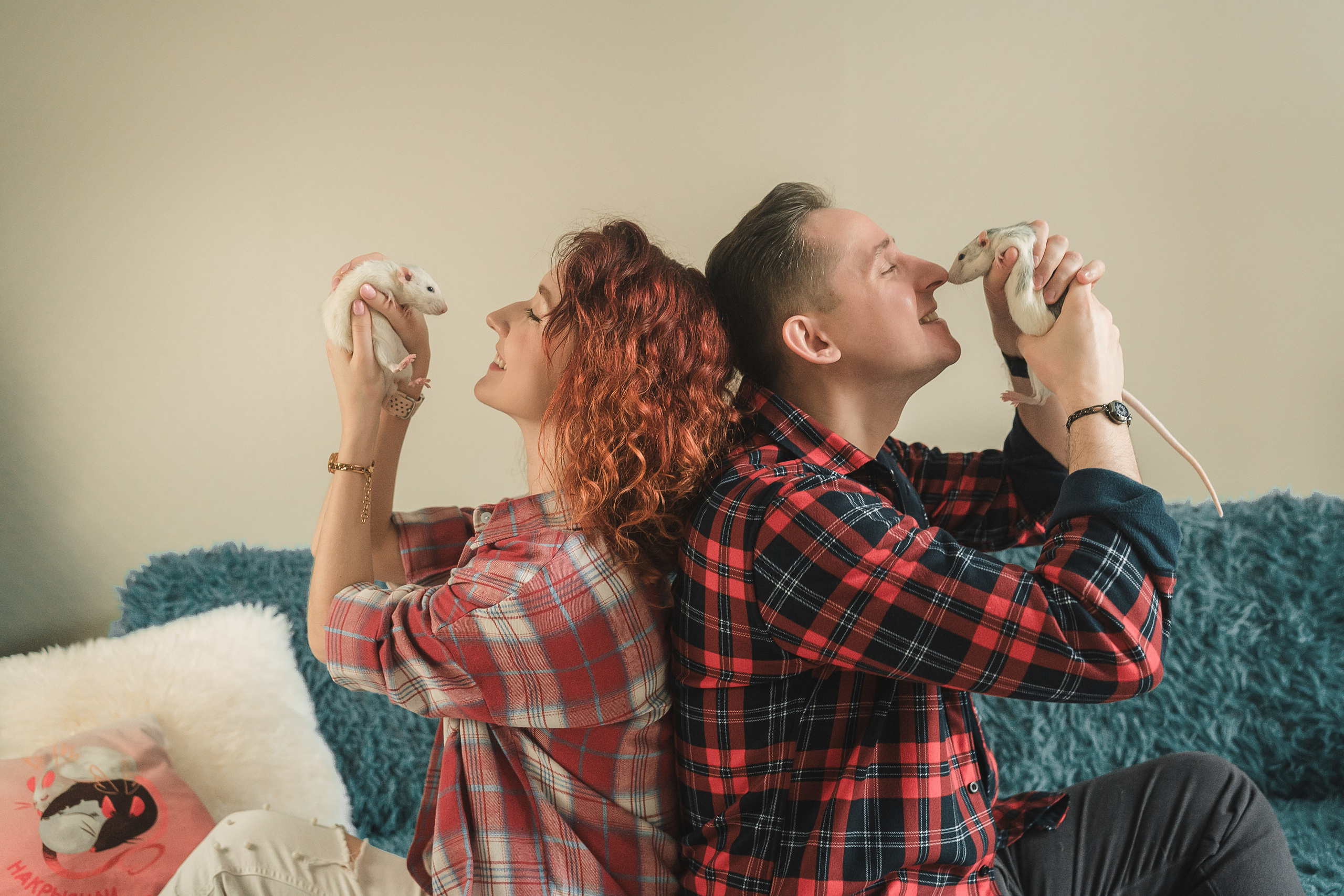 Домашняя история с крысиками