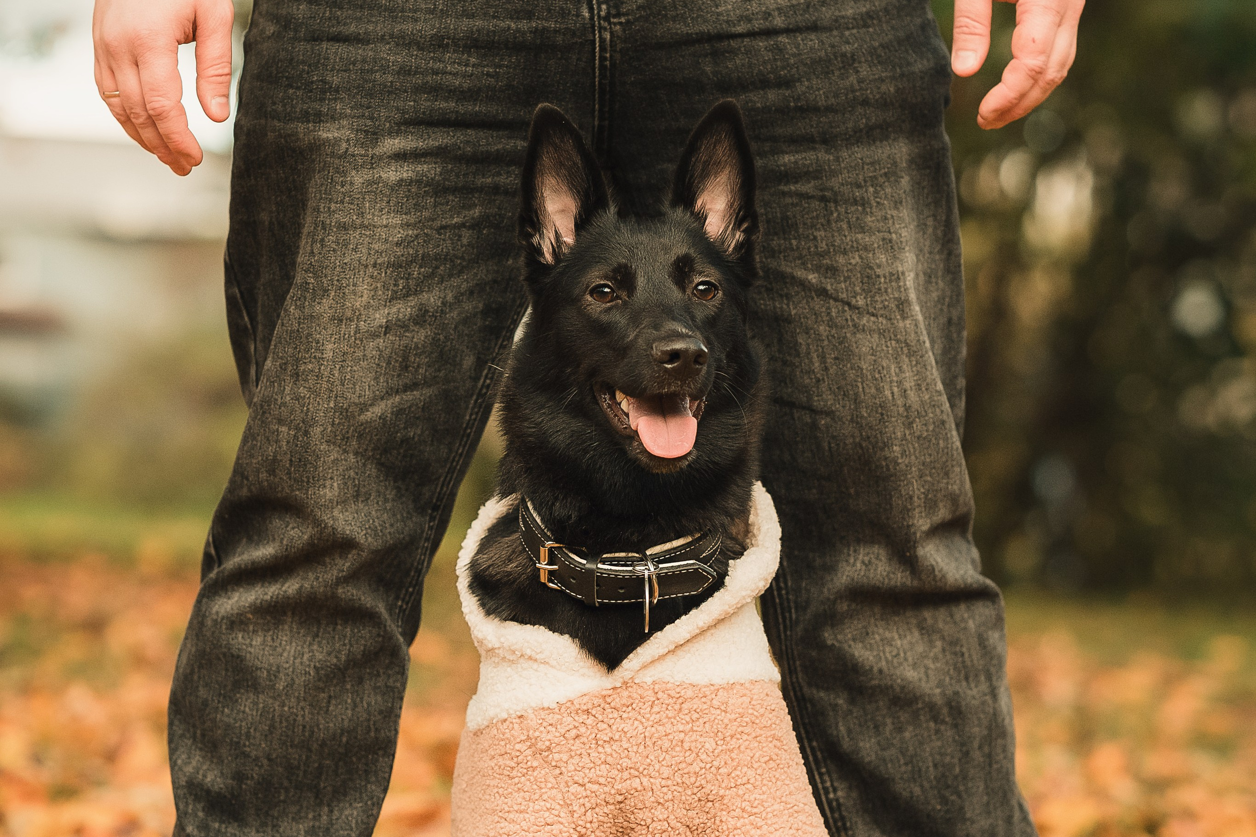 Полина, Антон и Наоми