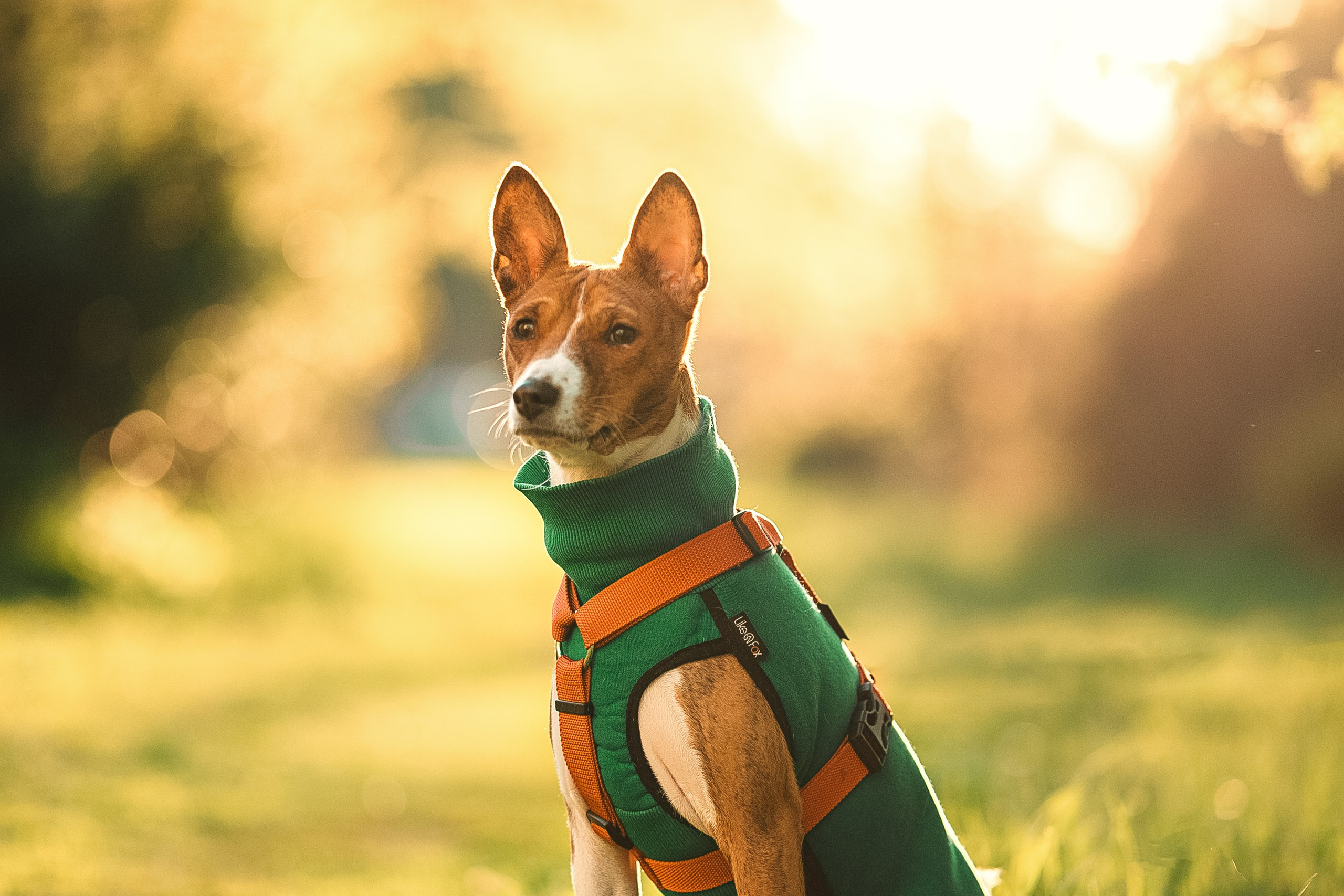 Светлана и Ева