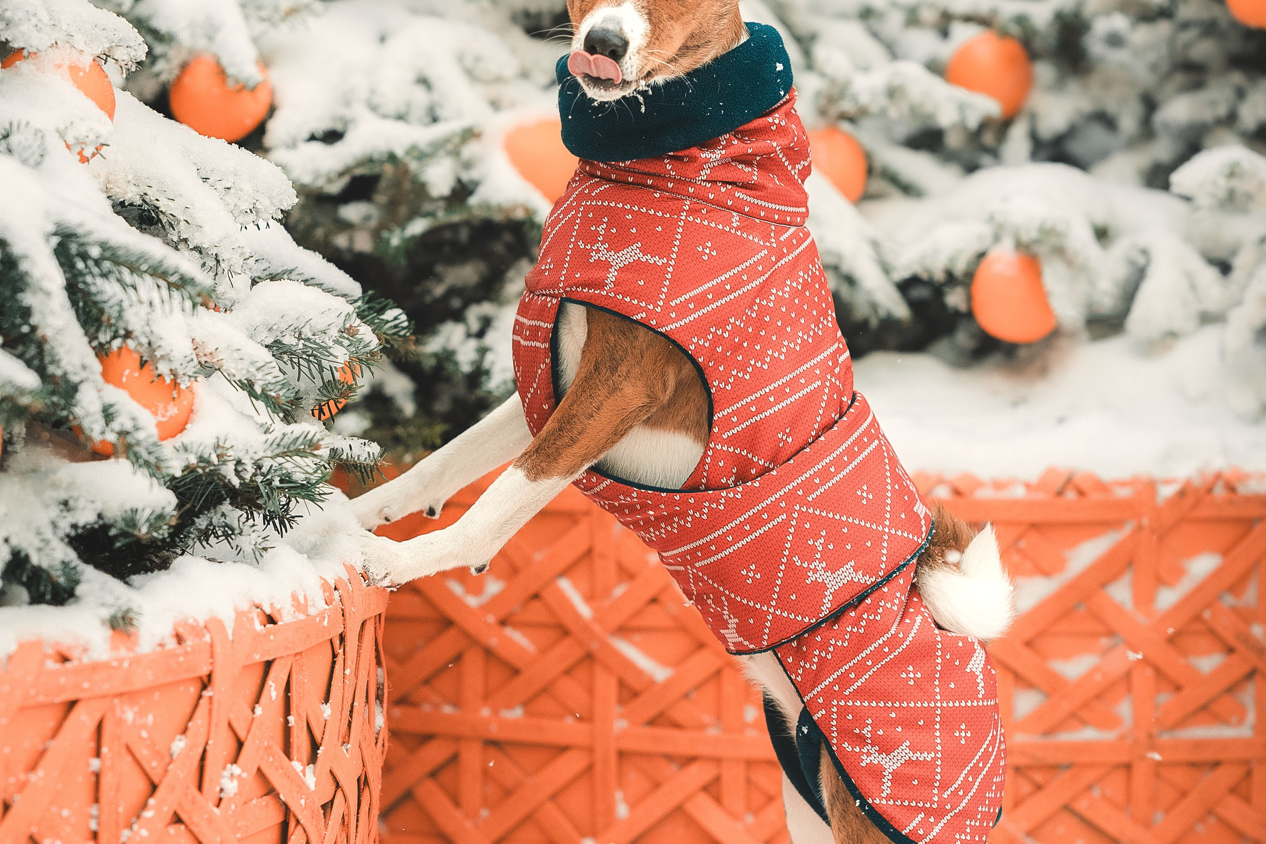 Прогулка по Арбату. Светлана и Ева