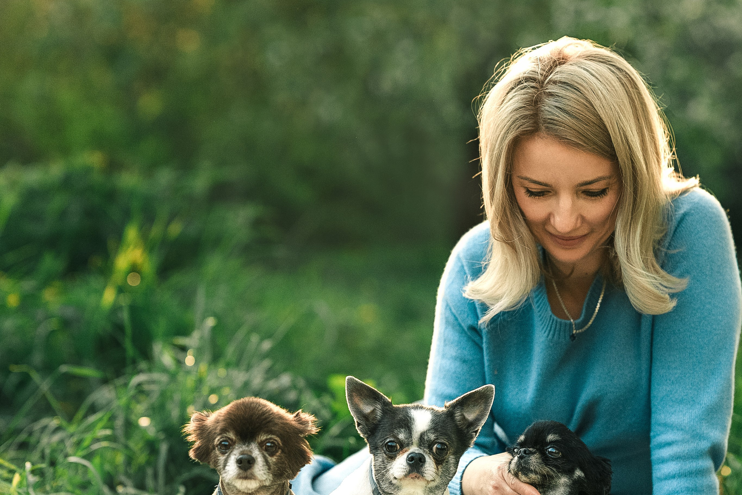 Фотограф анималист Москва