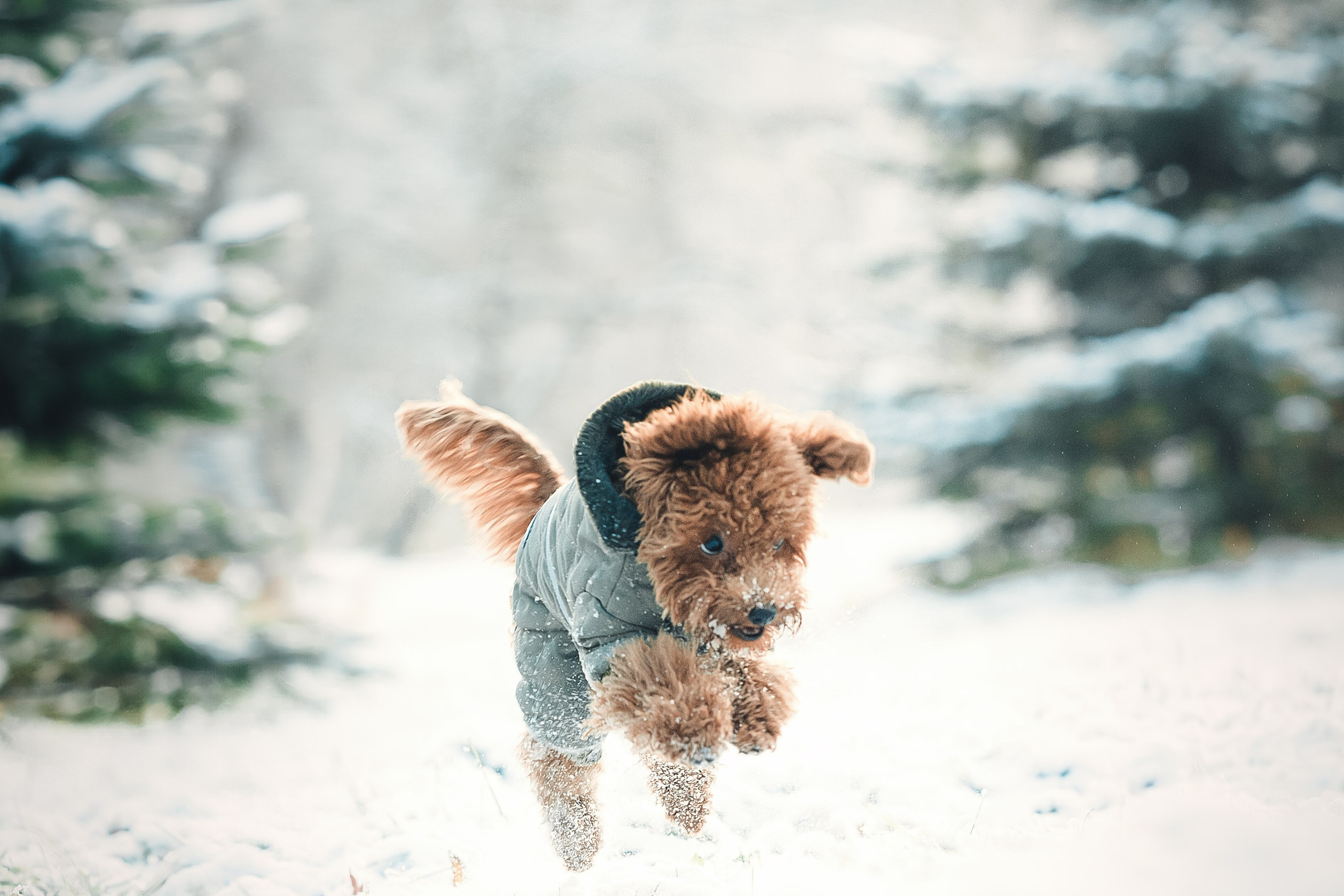 Наталья и Руби