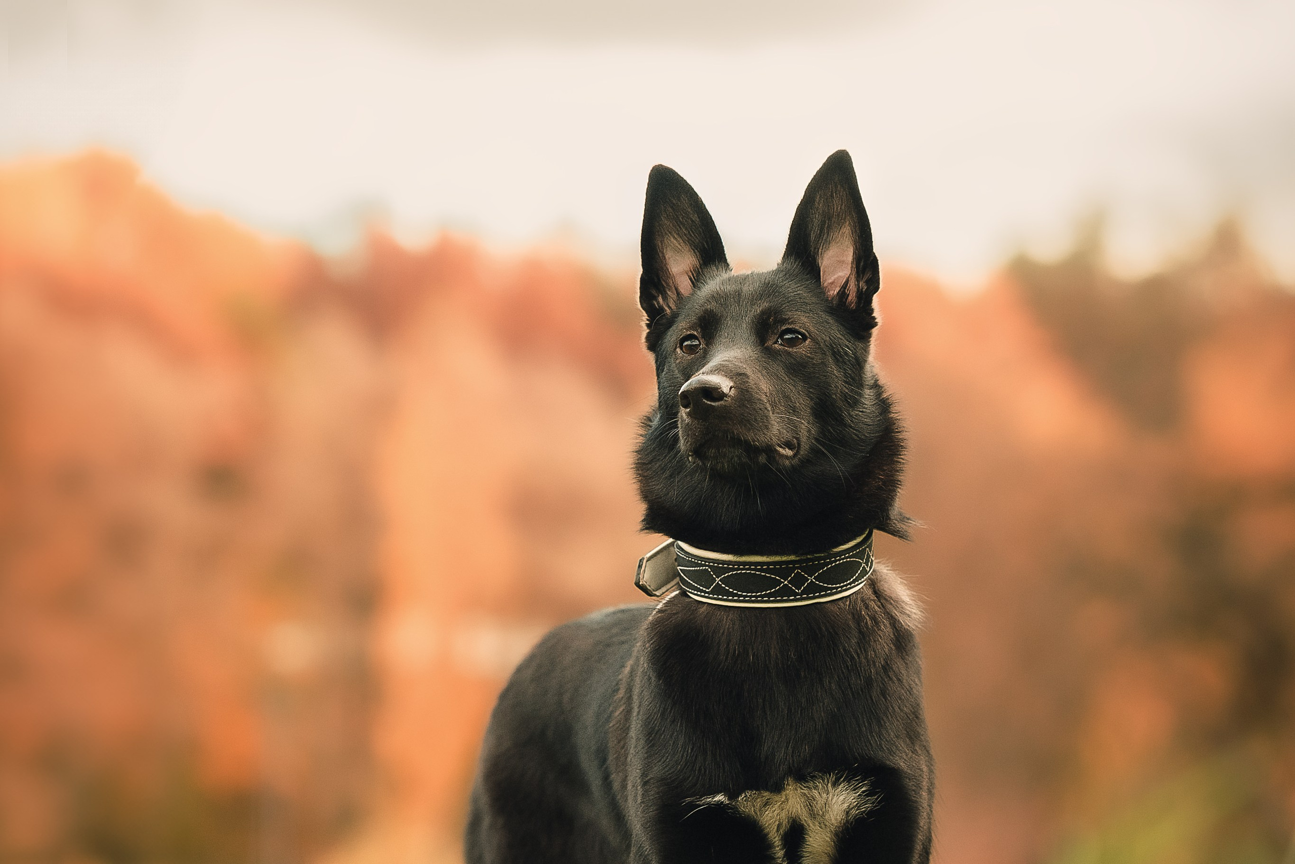 Полина, Антон и Наоми