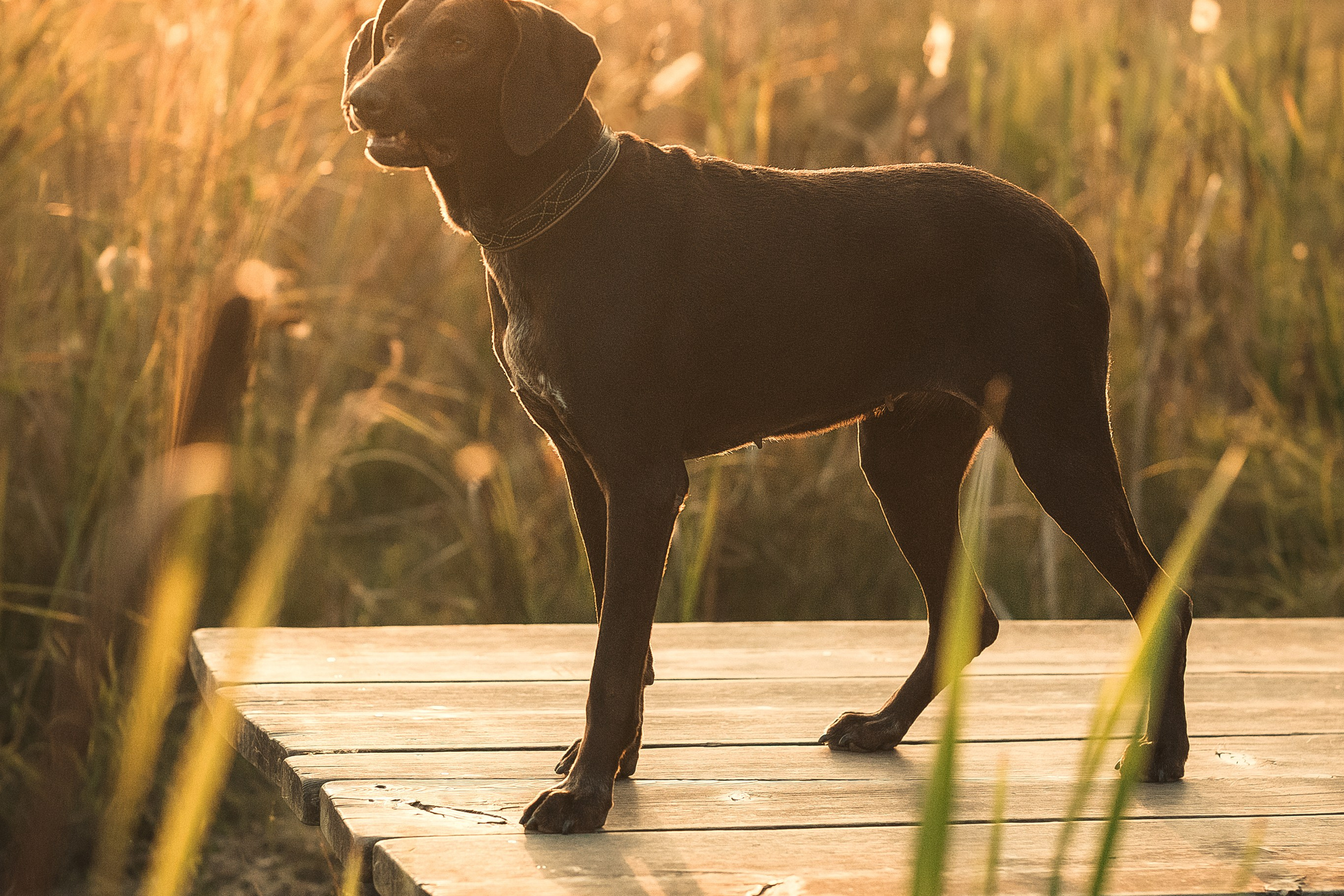 Наталья и Рица