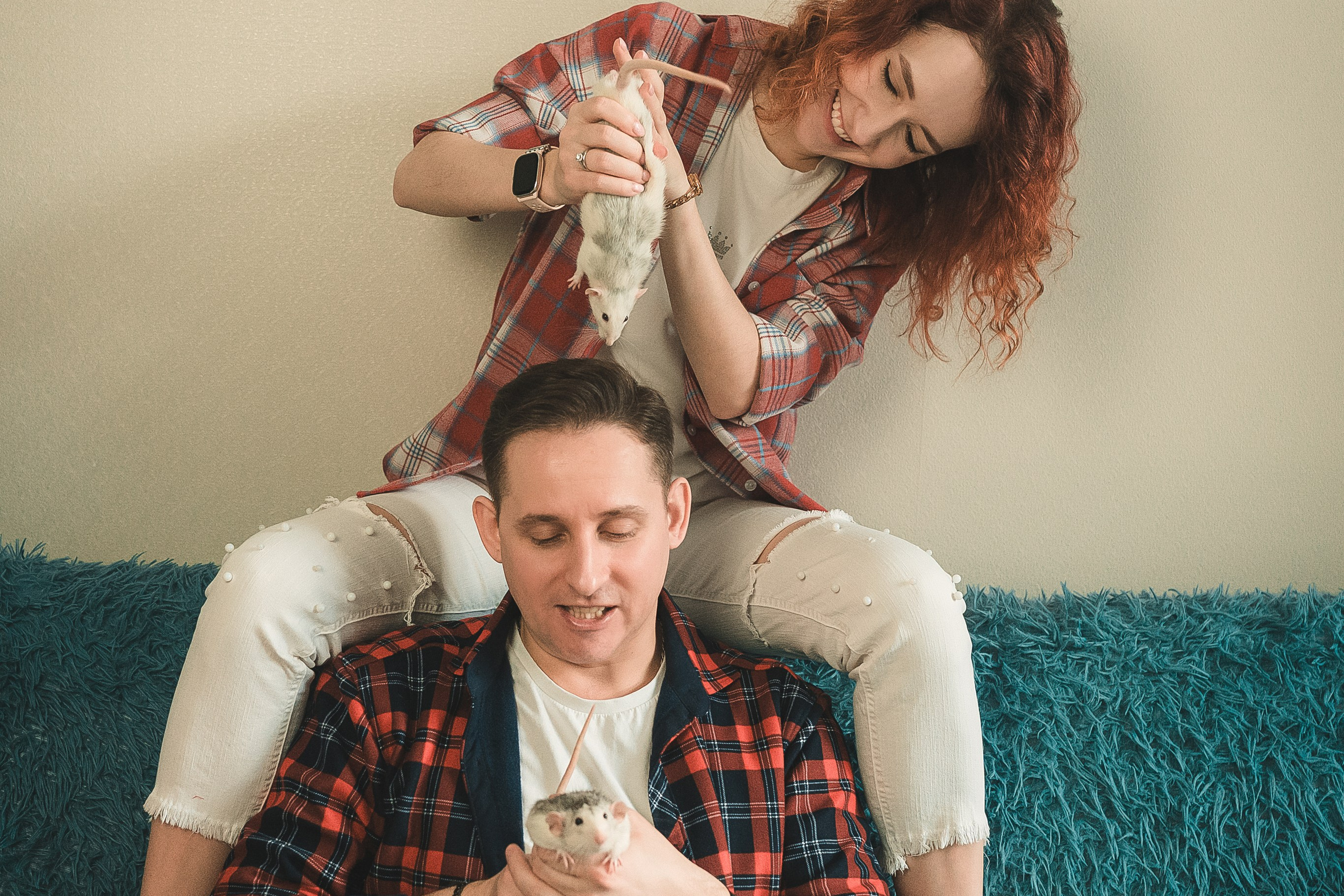 Домашняя история с крысиками