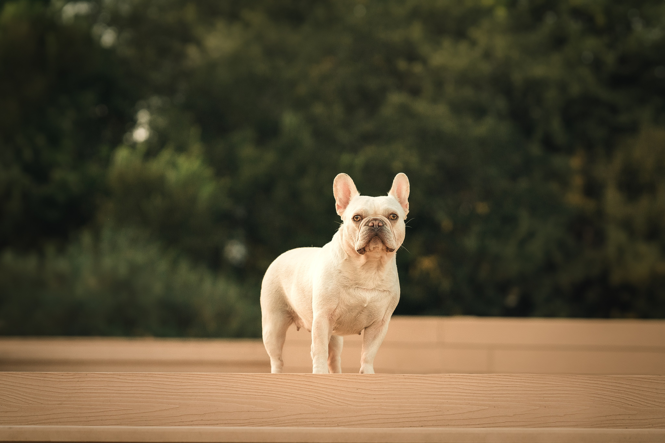 Светлана и Маруся
