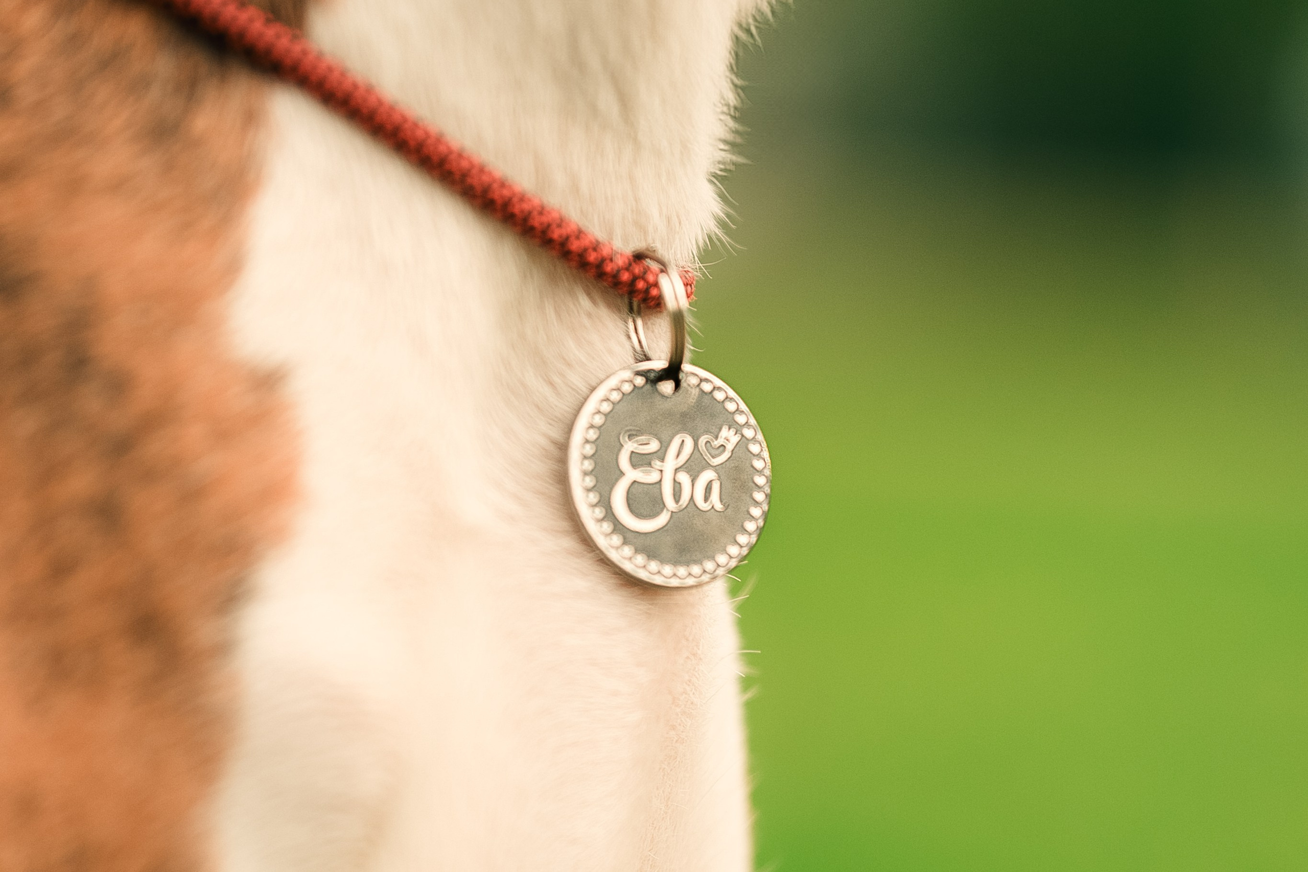 Светлана и Ева