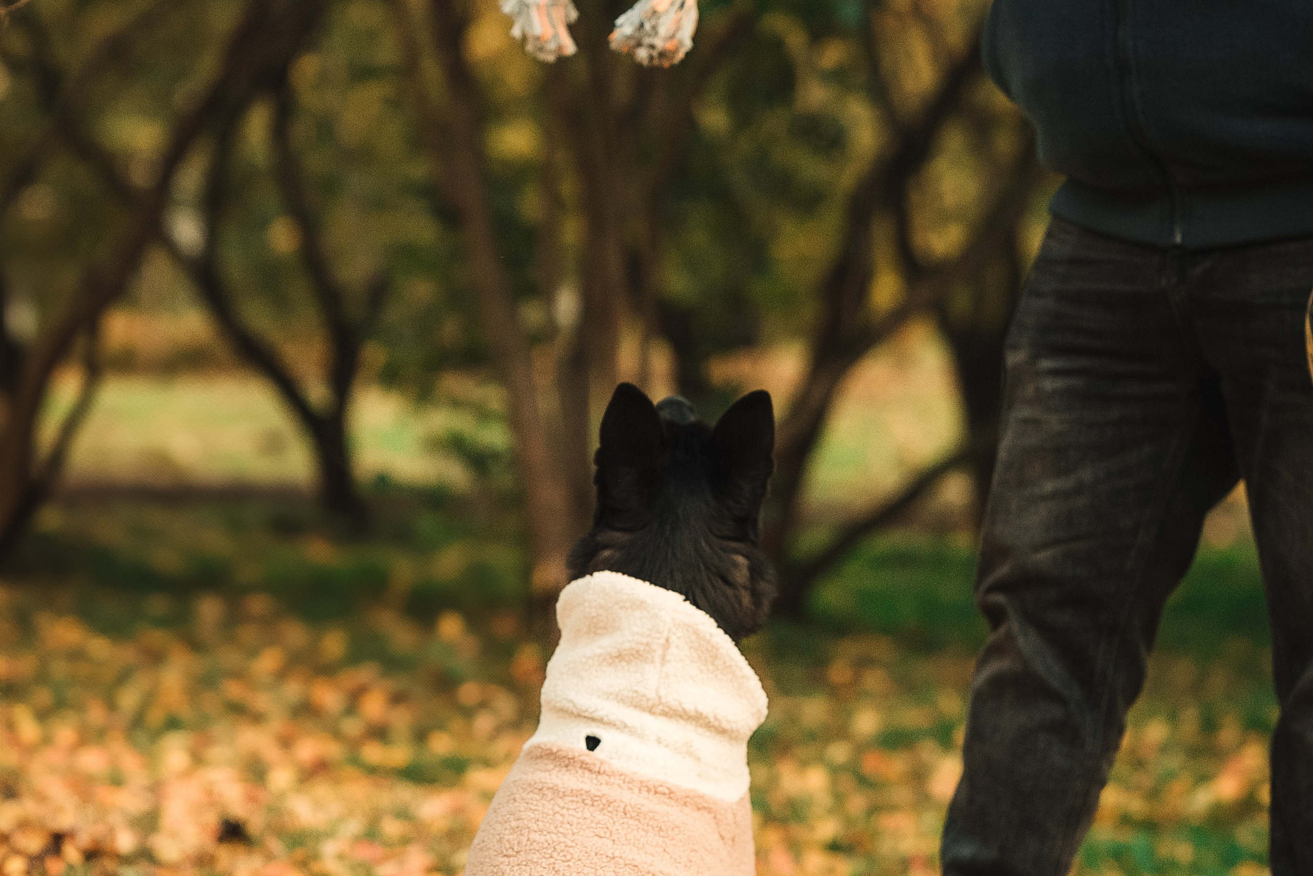 Полина, Антон и Наоми