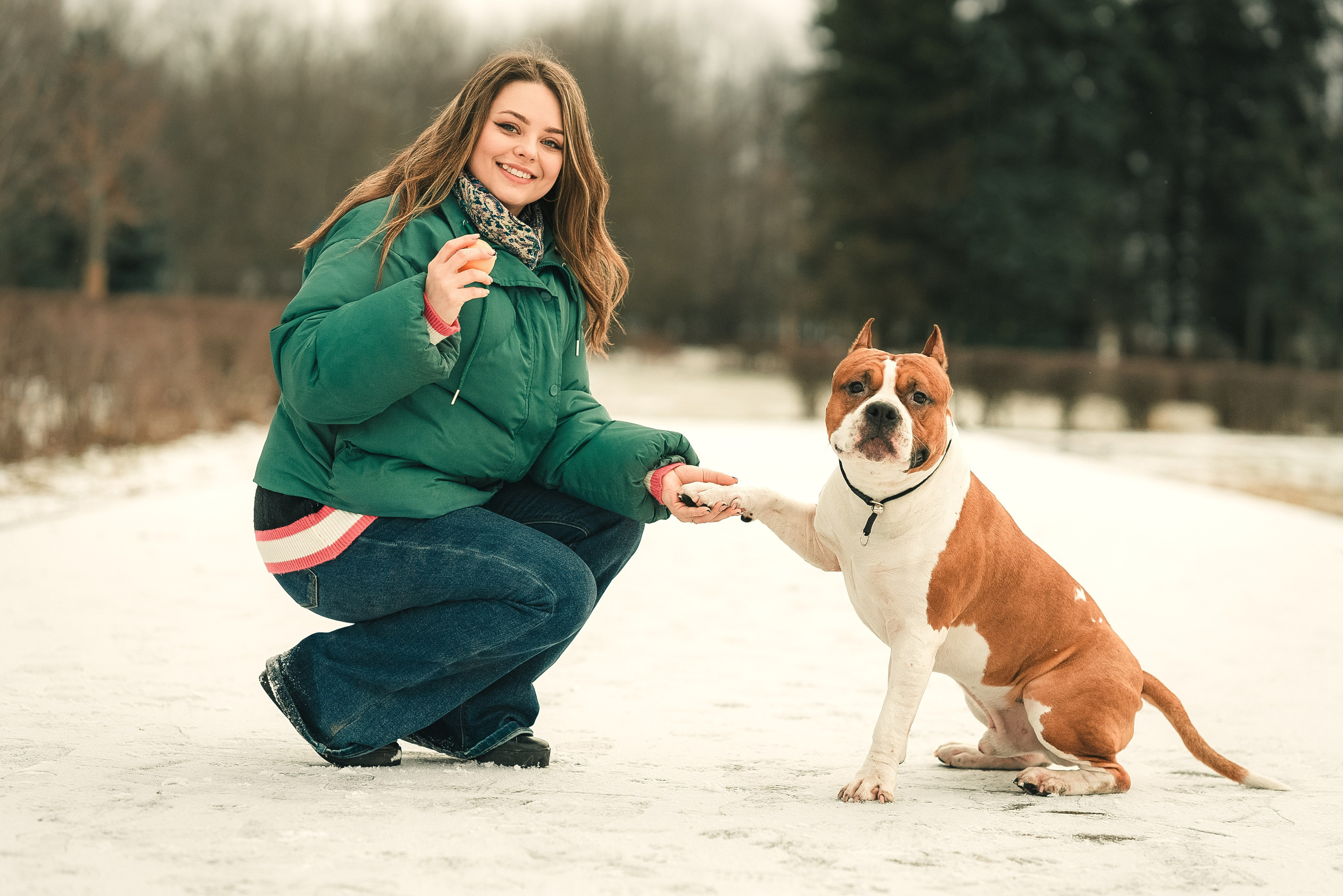 Анна и Феникс