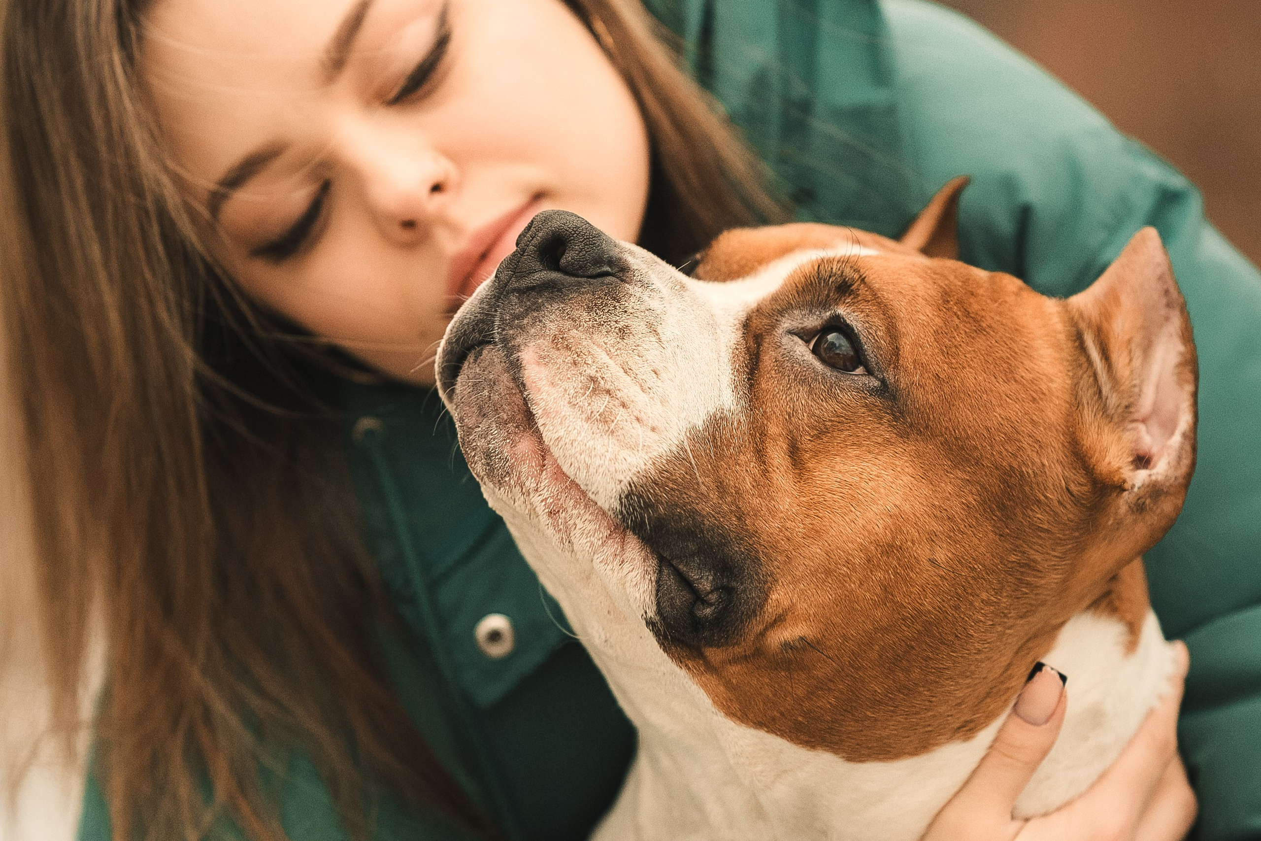 Анна и Феникс