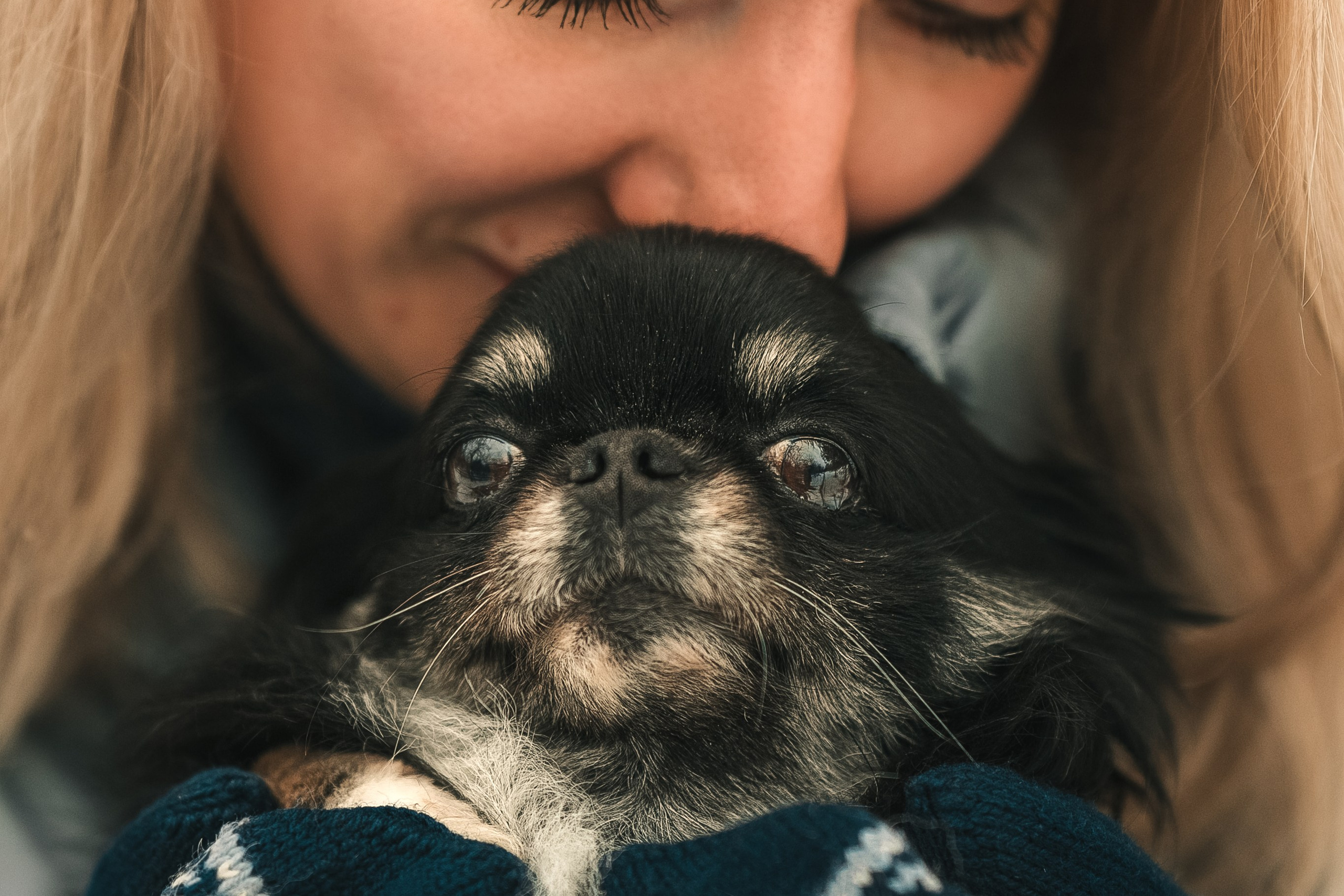 Елена, Тоша, Лиза и Поль