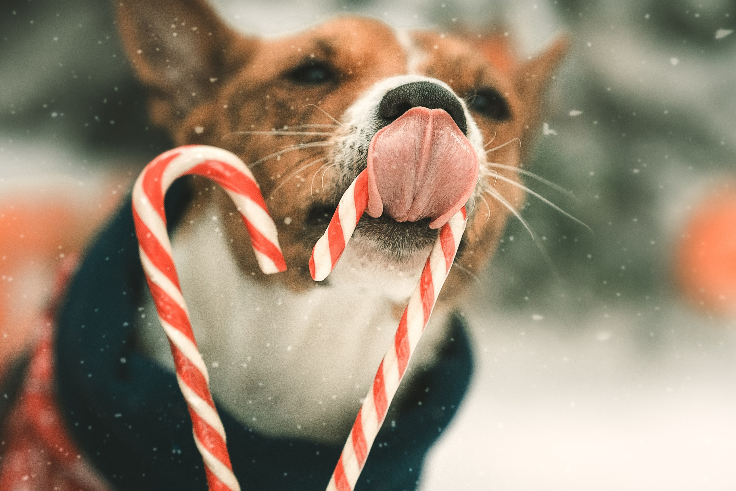 Прогулка по Арбату. Светлана и Ева