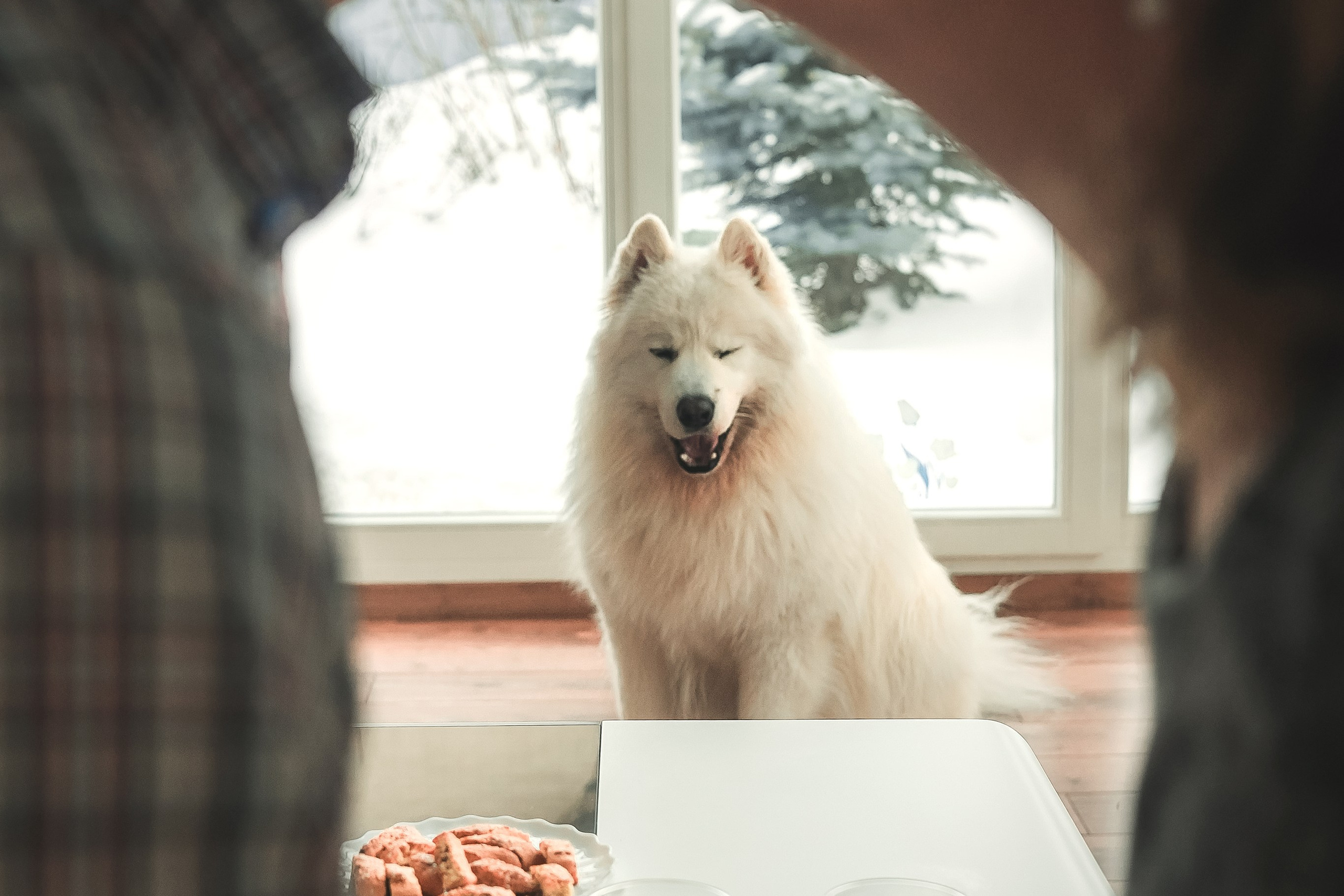 Юрий, Марианна и Санни