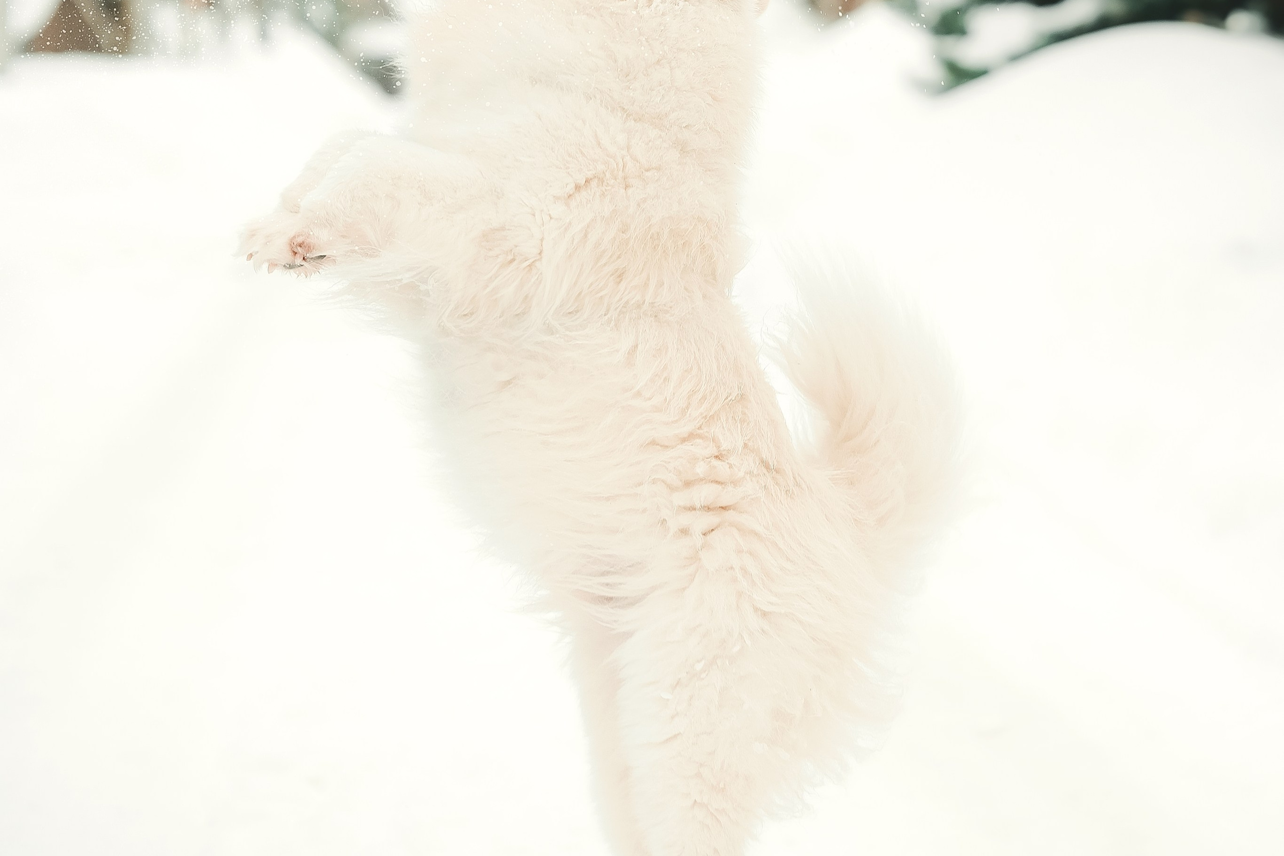 Юрий, Марианна и Санни