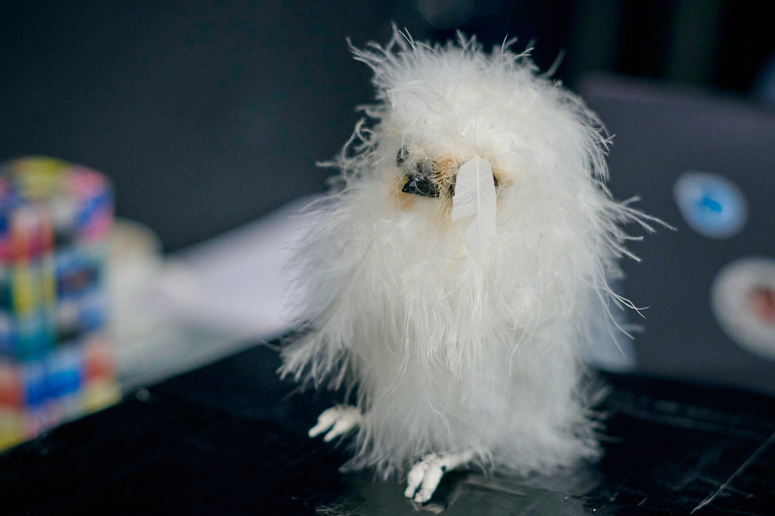 Игры разума