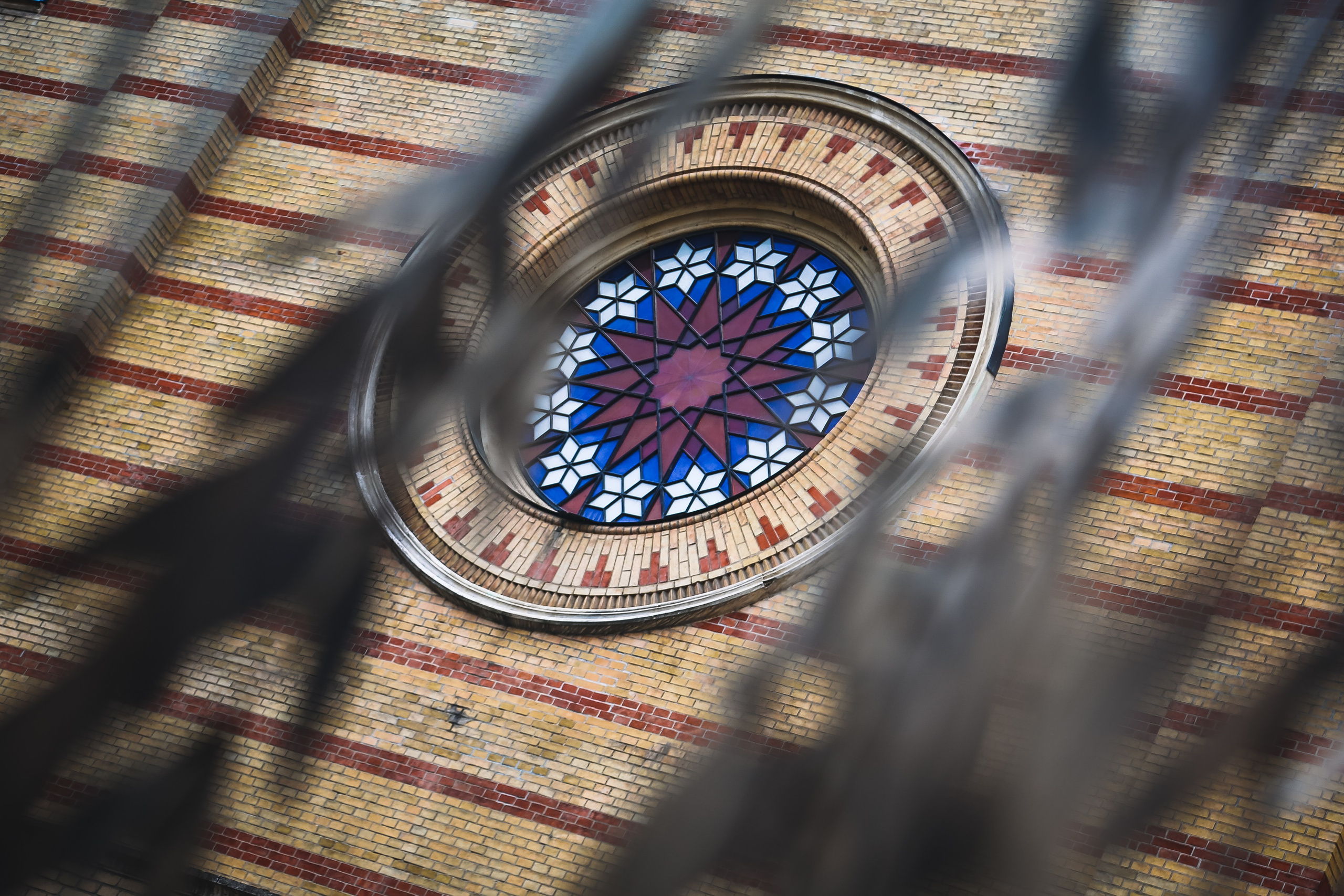 Путешествия. Дарья Письменюк / Darya Leitstern — фотограф, музыкант, журналист, путешественник