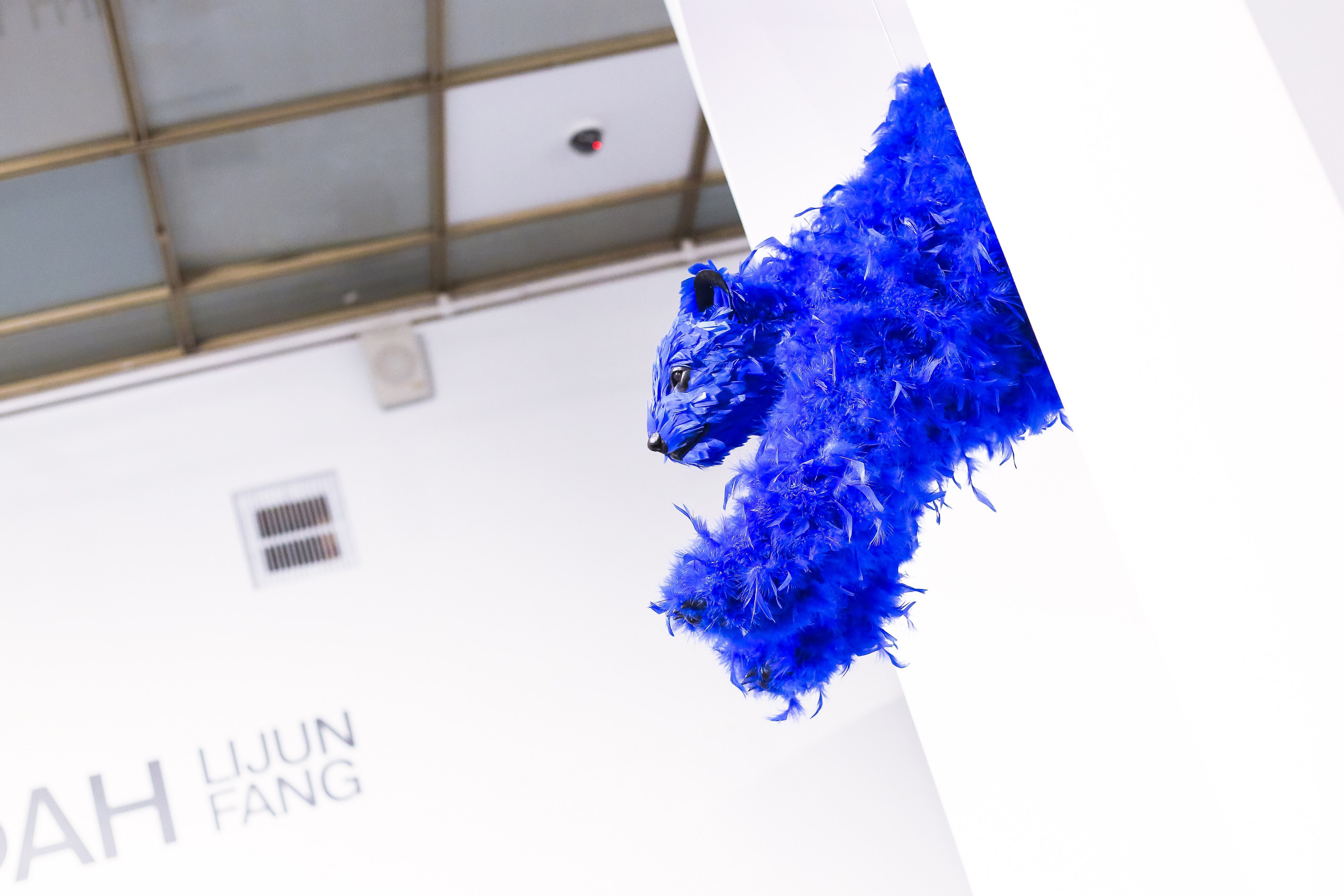 Публикации об искусстве и музыке. Дарья Письменюк / Darya Leitstern — фотограф, музыкант, журналист, путешественник