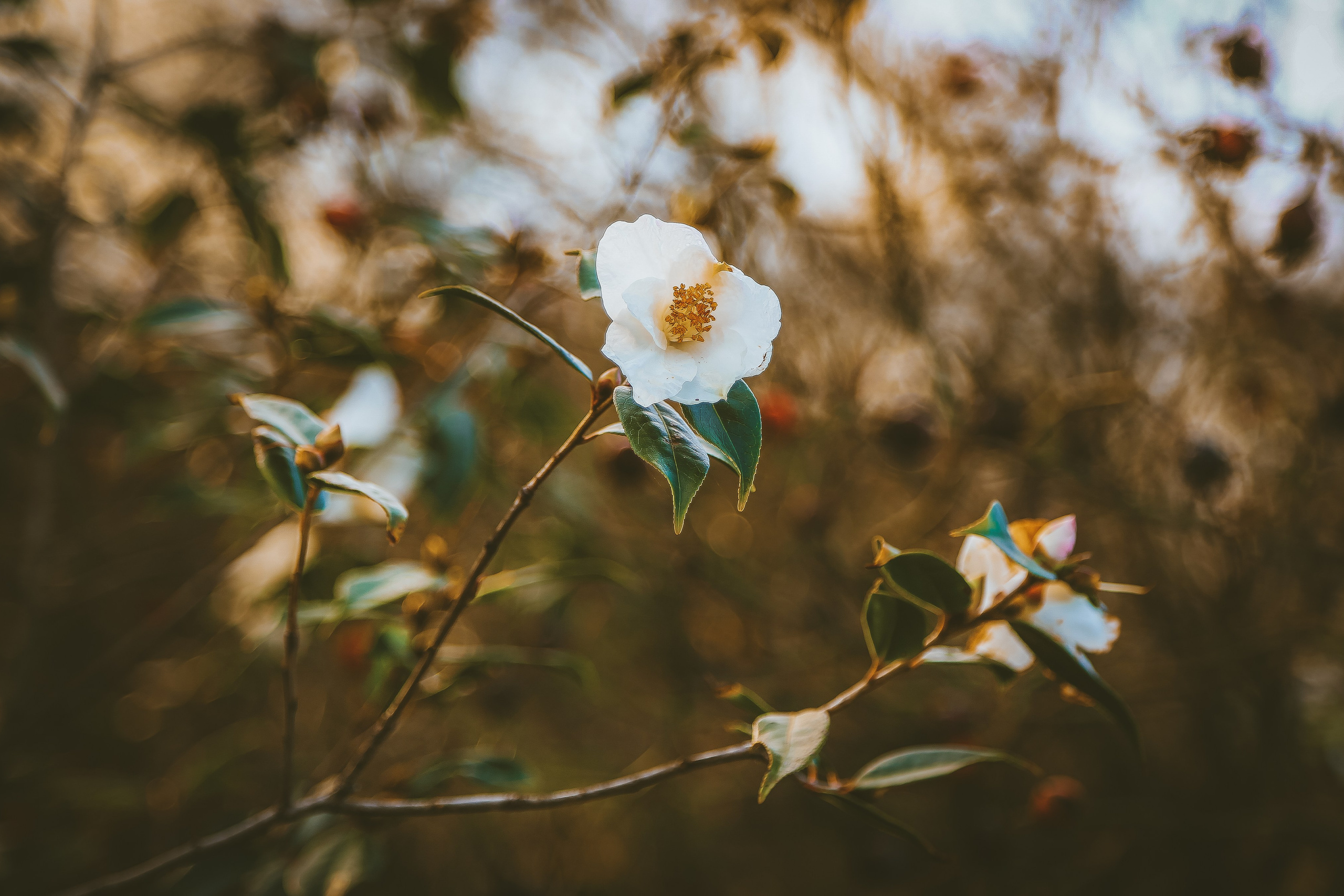 Путешествия. Дарья Письменюк / Darya Leitstern — фотограф, музыкант, журналист, путешественник
