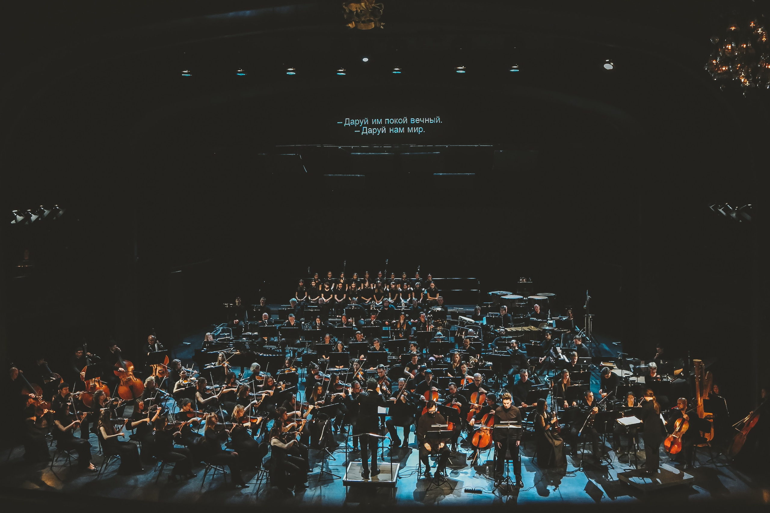 Публикации об искусстве и музыке. Дарья Письменюк / Darya Leitstern — фотограф, музыкант, журналист, путешественник