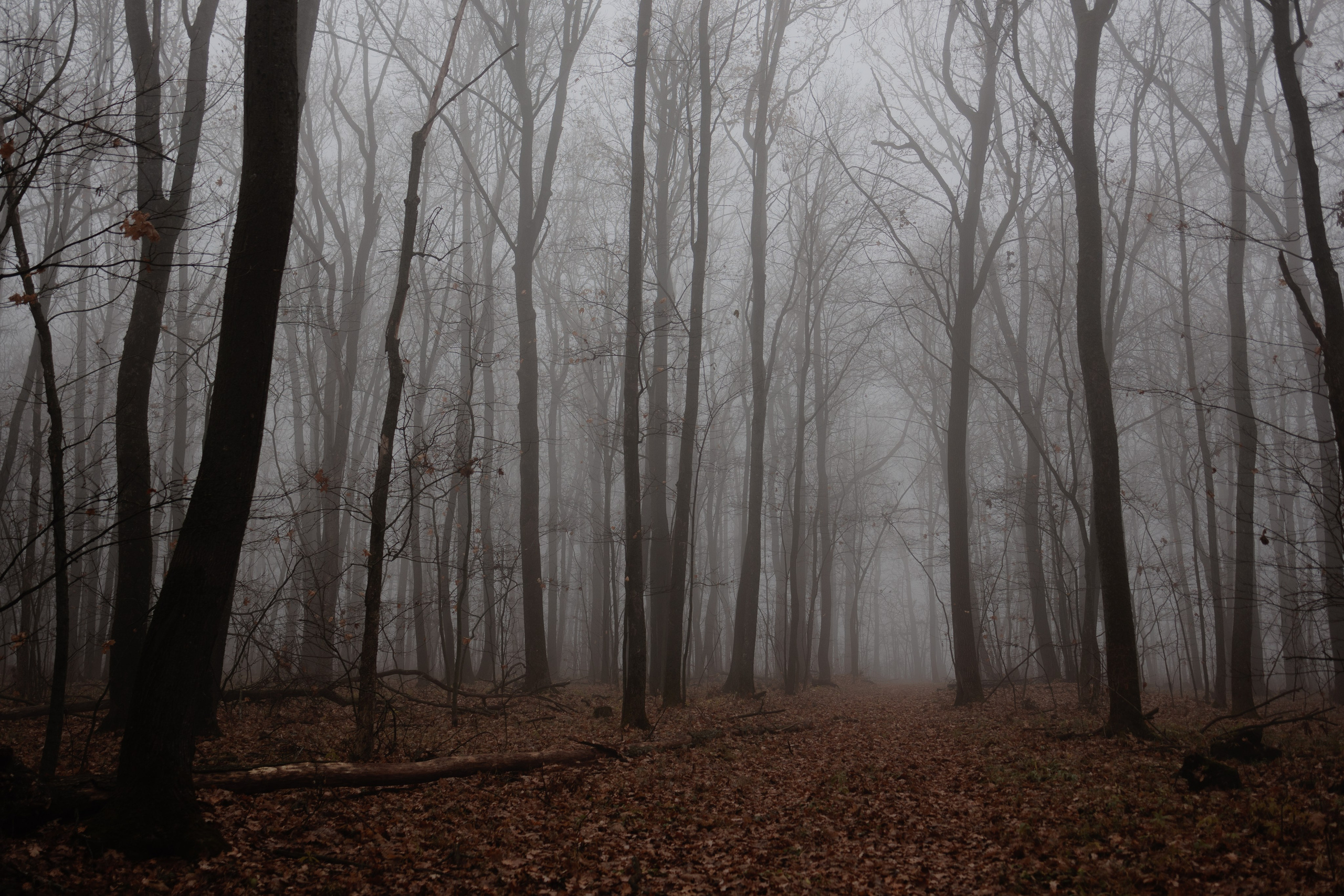 Блог и портфолио. Семейный фотограф в Белгороде
