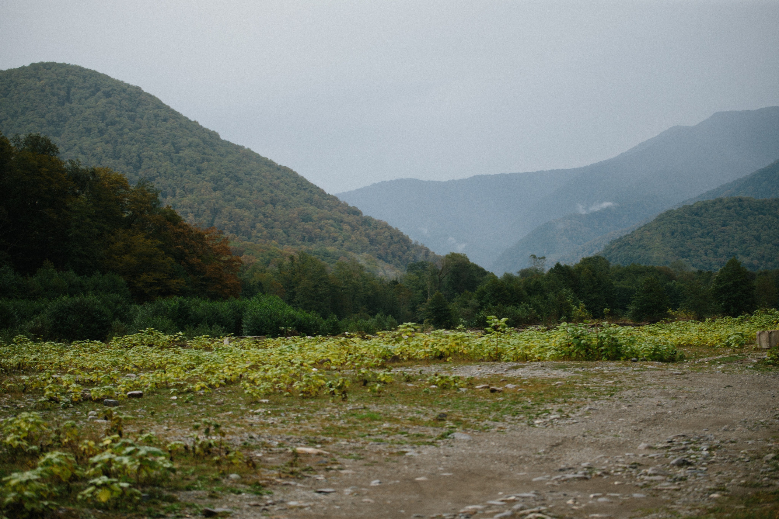 Блог и портфолио. Семейный фотограф в Белгороде