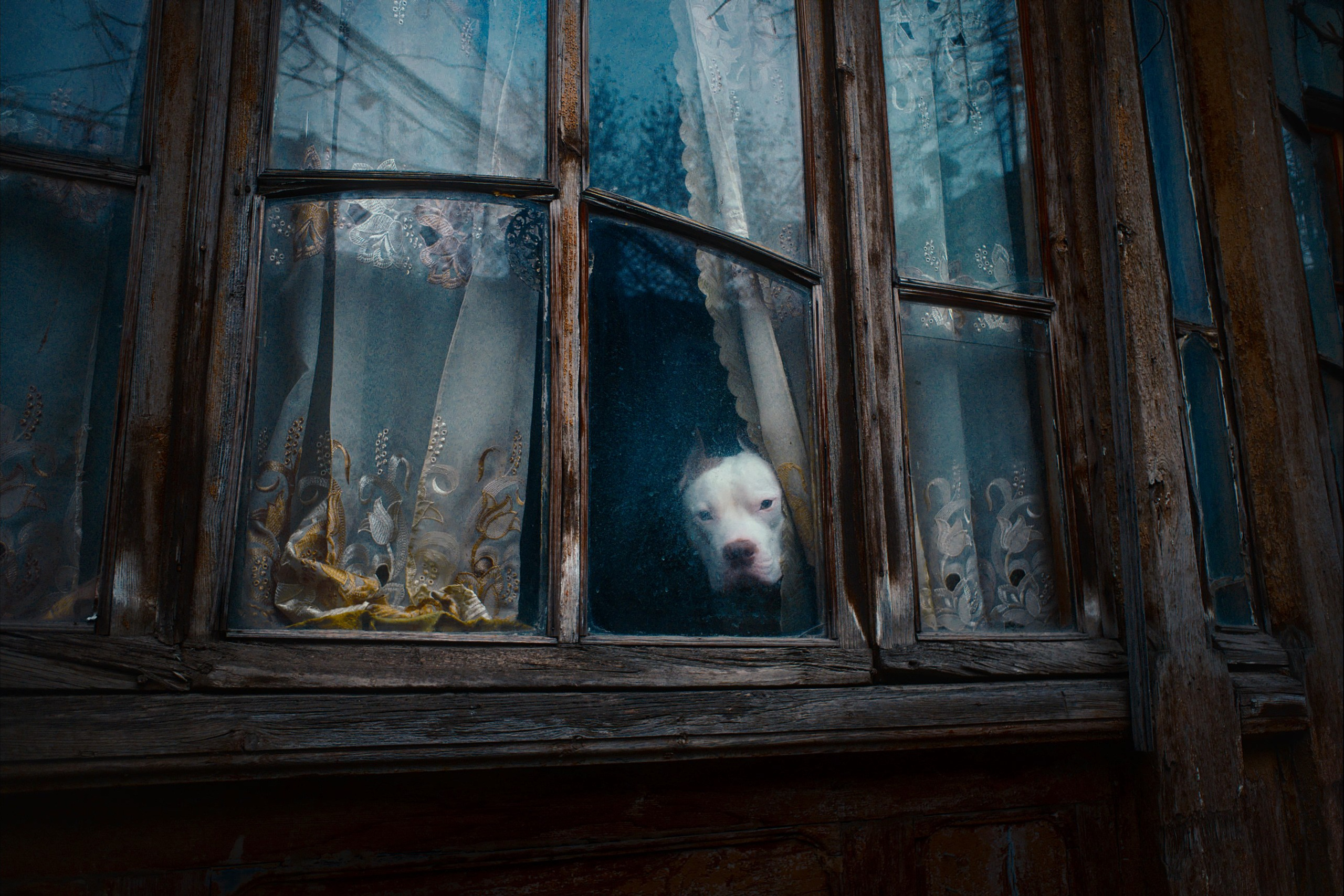 Streets of Sakartvelo p.11