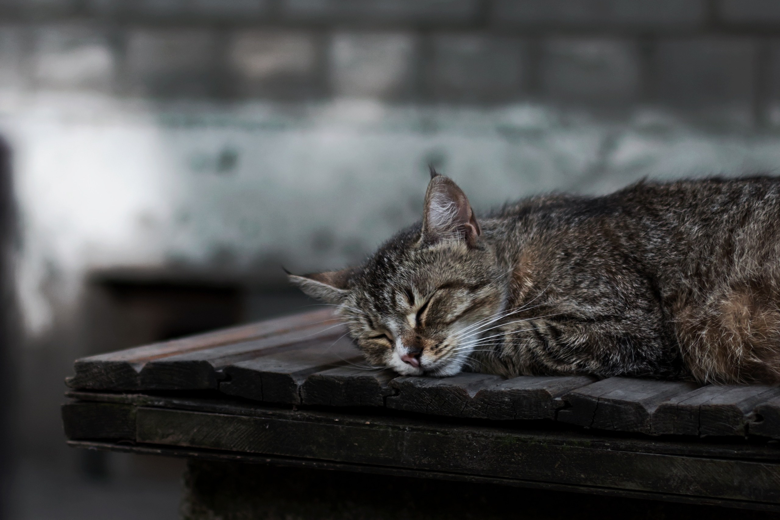 Selected works. Viktor Garshnep Documentary Photographer