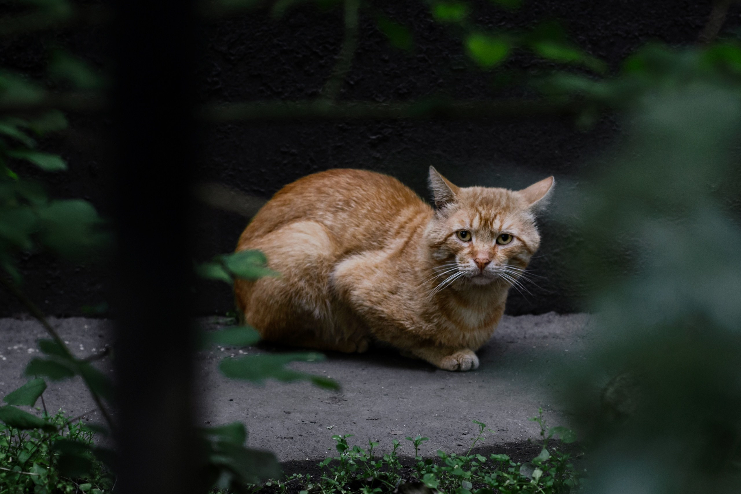 Selected works. Viktor Garshnep Documentary Photographer