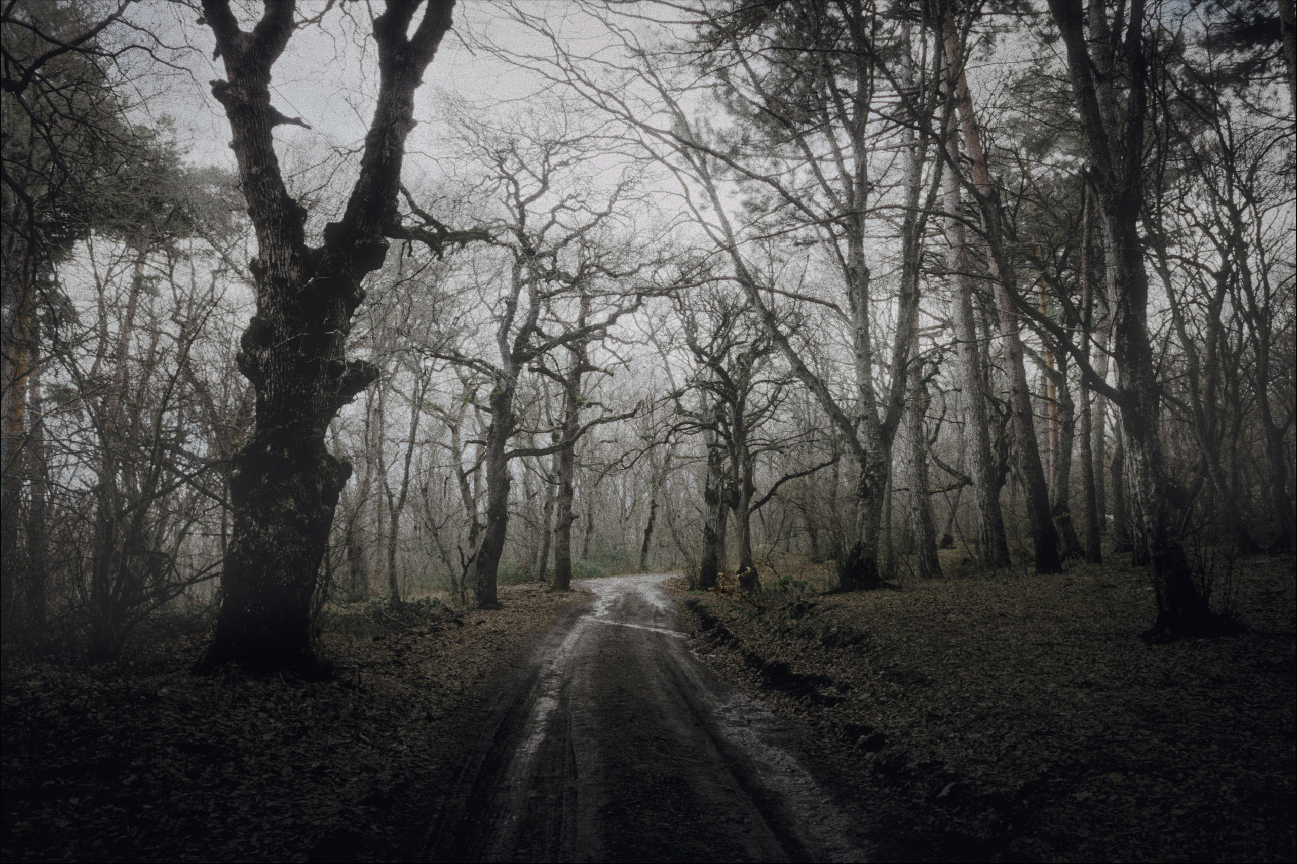 Streets of Sakartvelo p.7