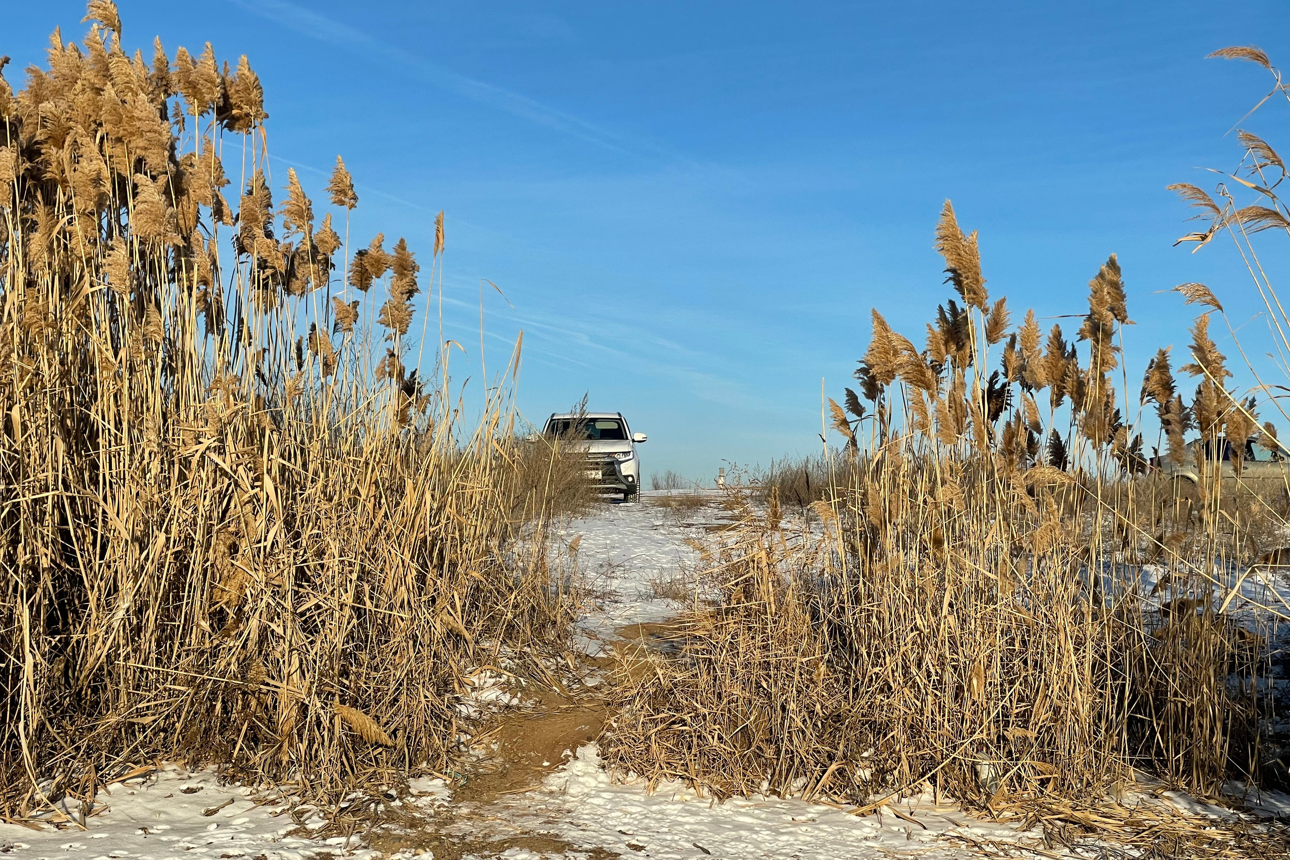 60 059 Картина