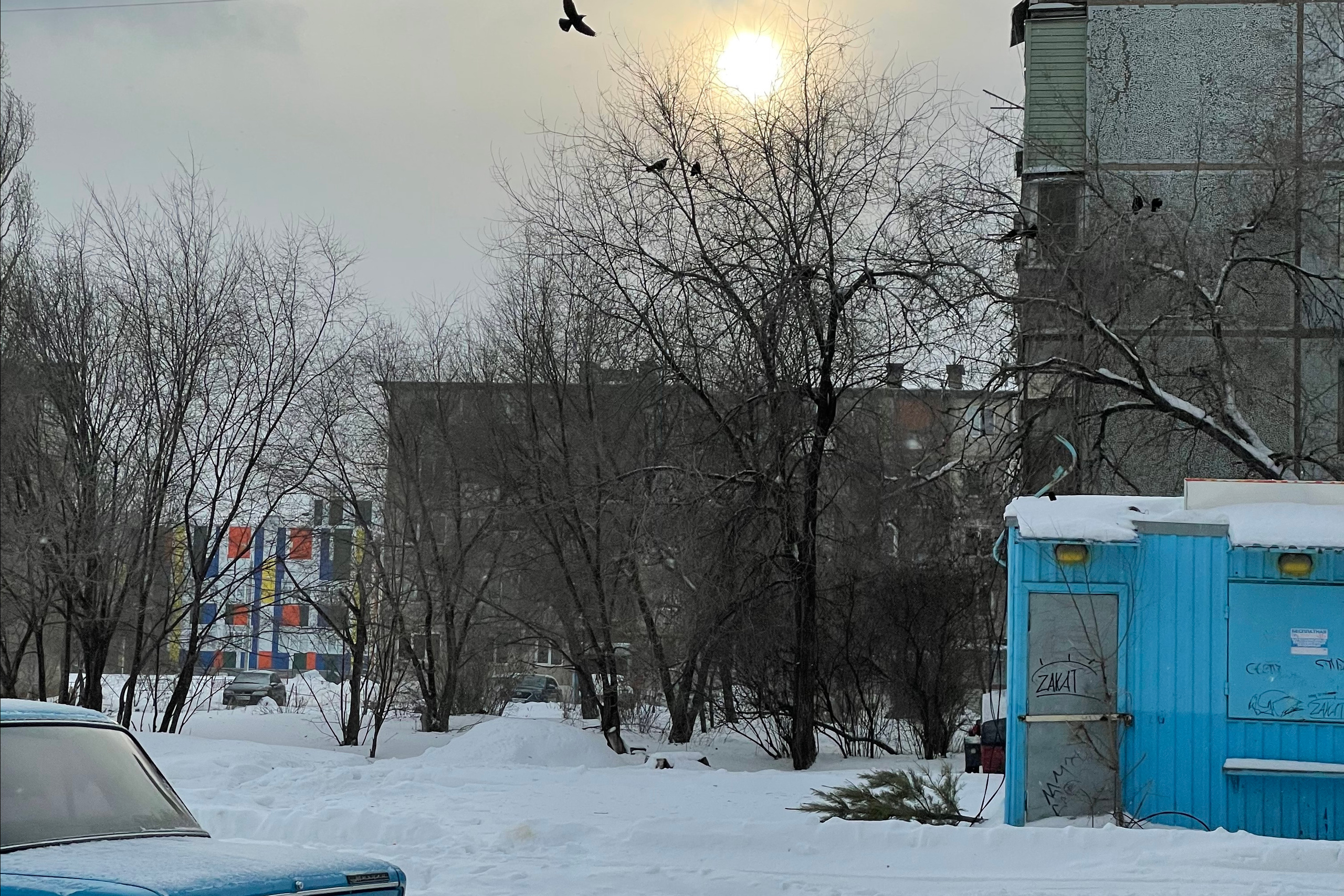 60 028 Картина