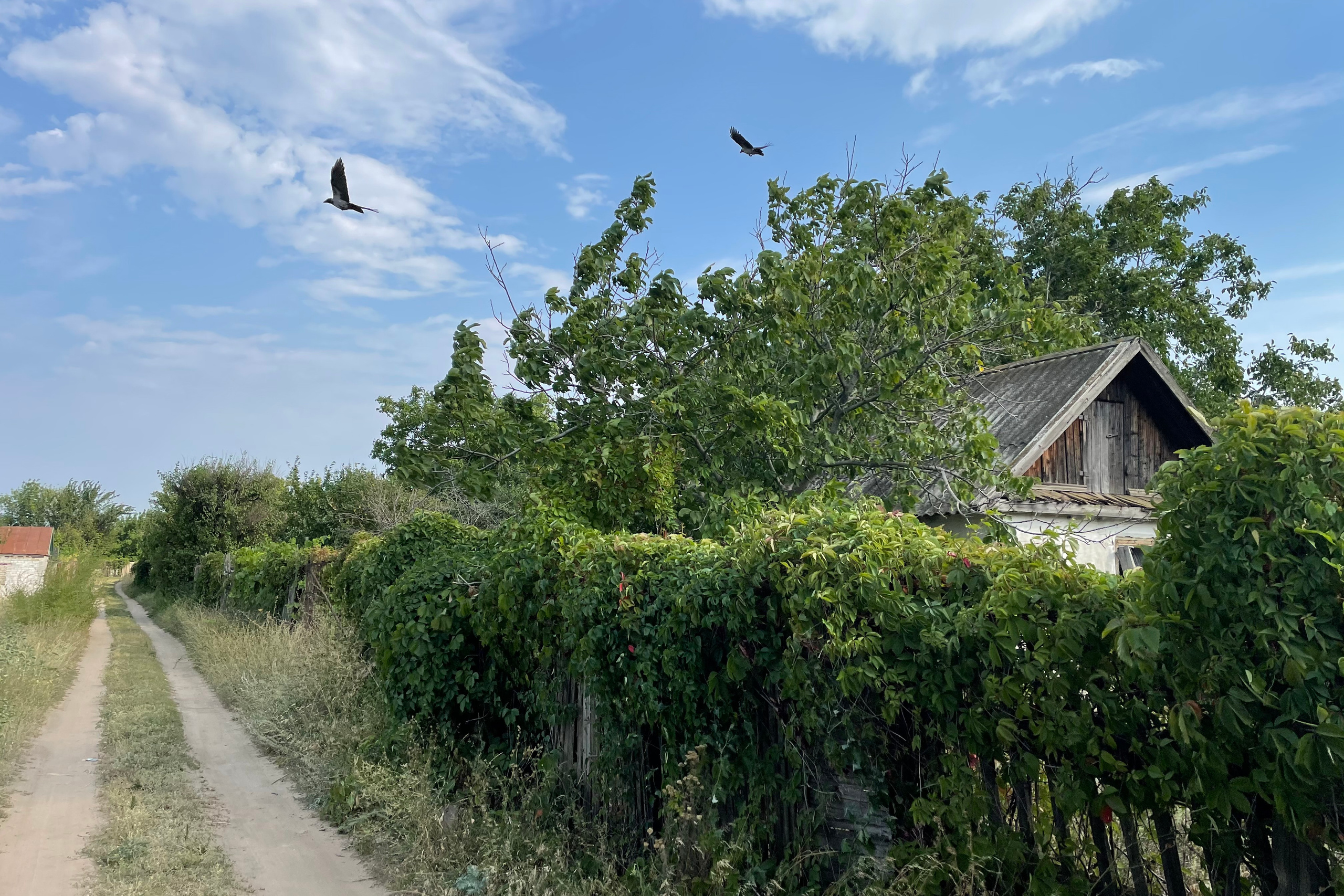 50 020 Дорога грунтовая