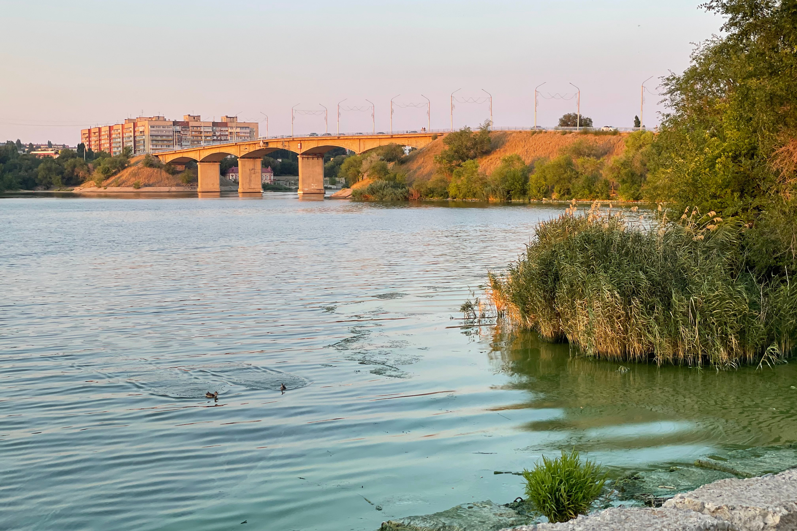 20 523 Мост и утки