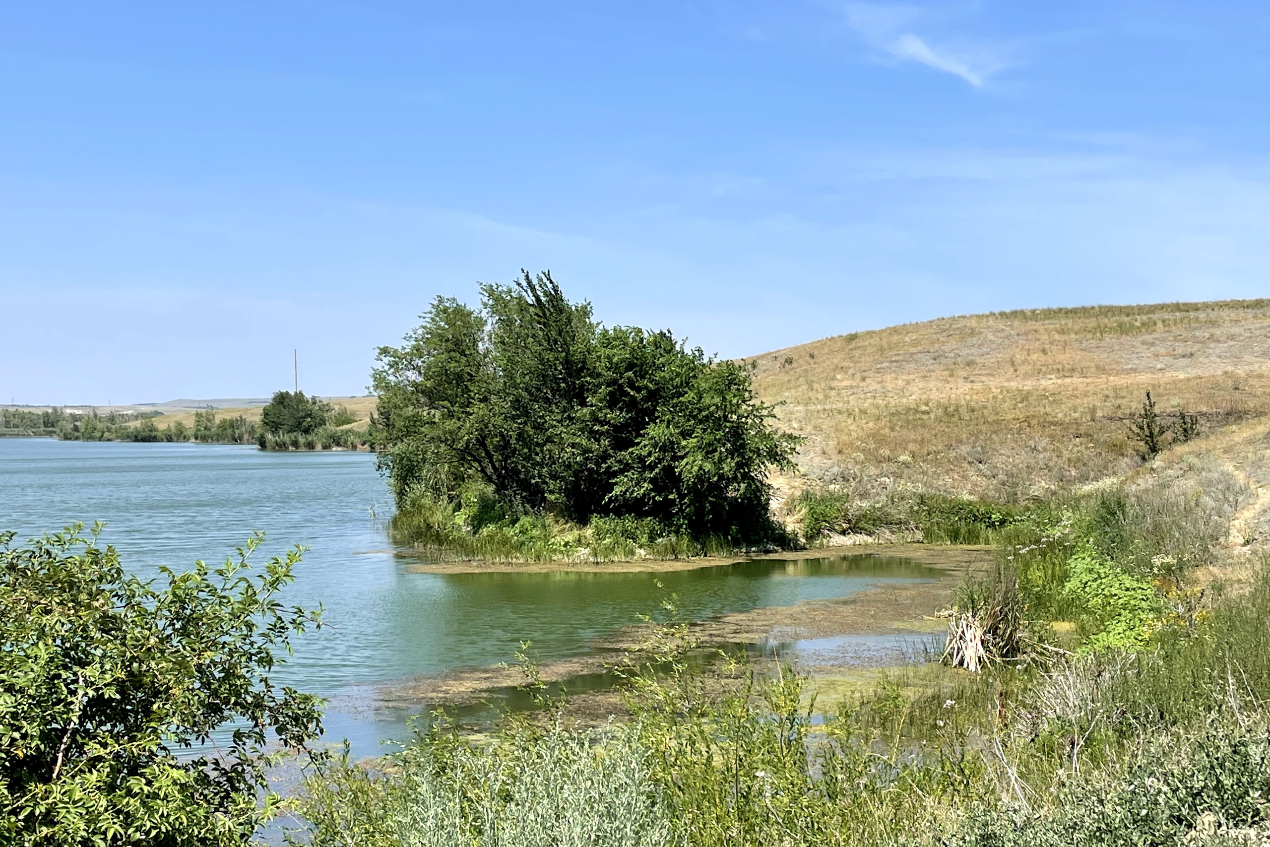 60 038 Картина