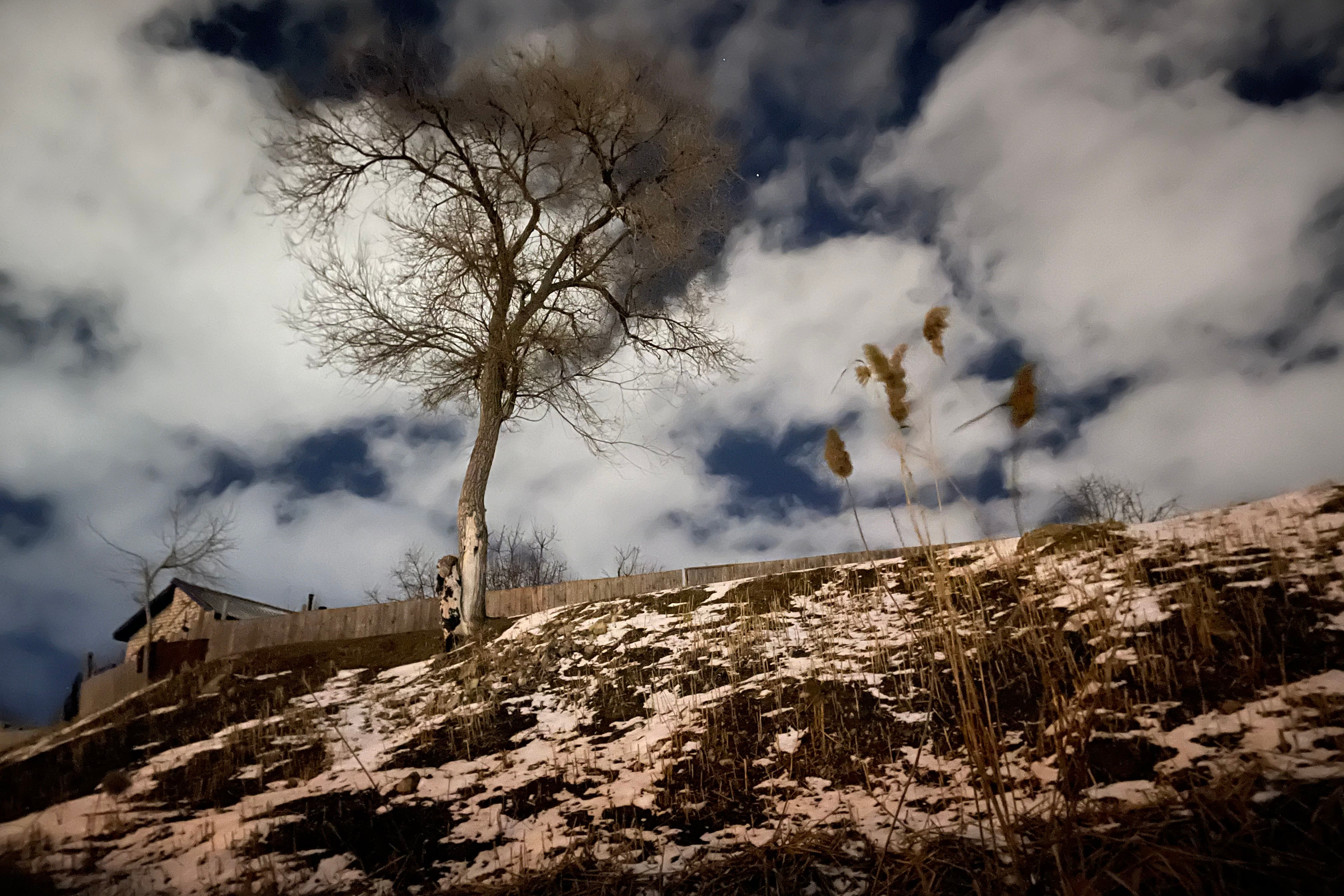 60 118 Картина