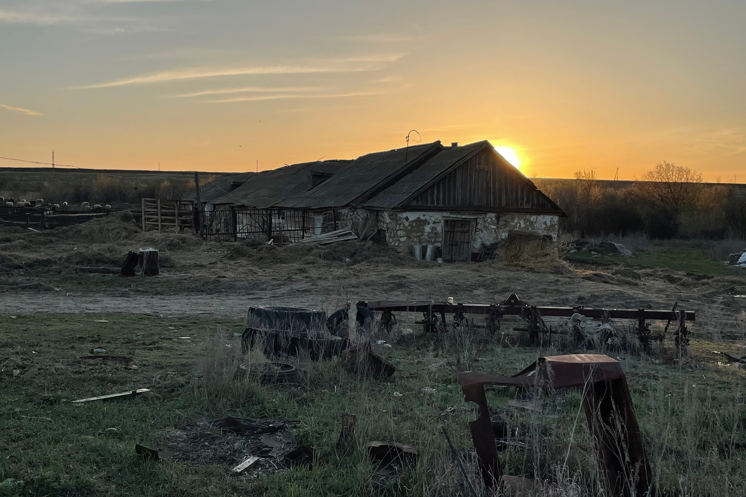 71 116 Коровник