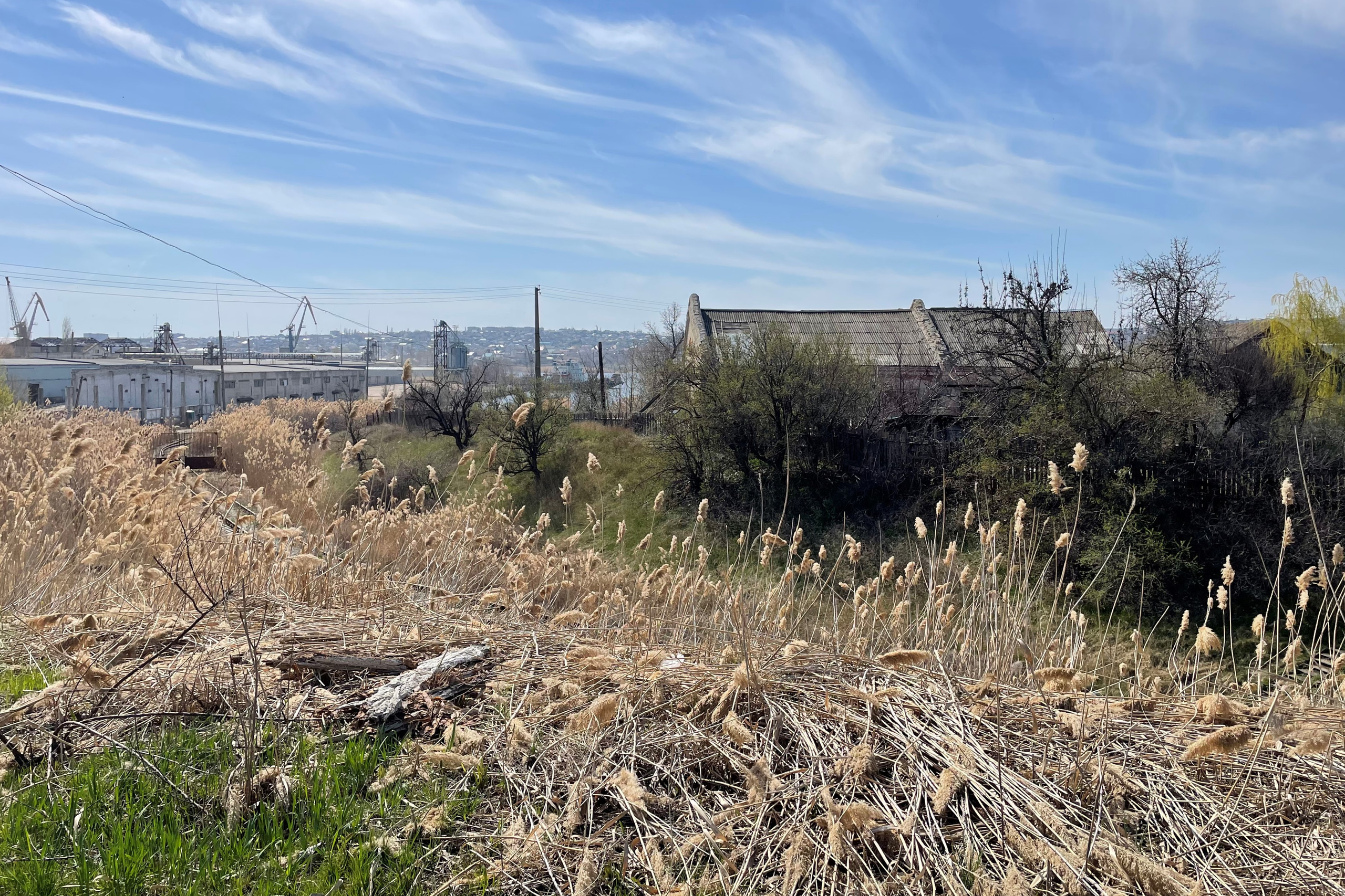 22 304 Здания, камыши