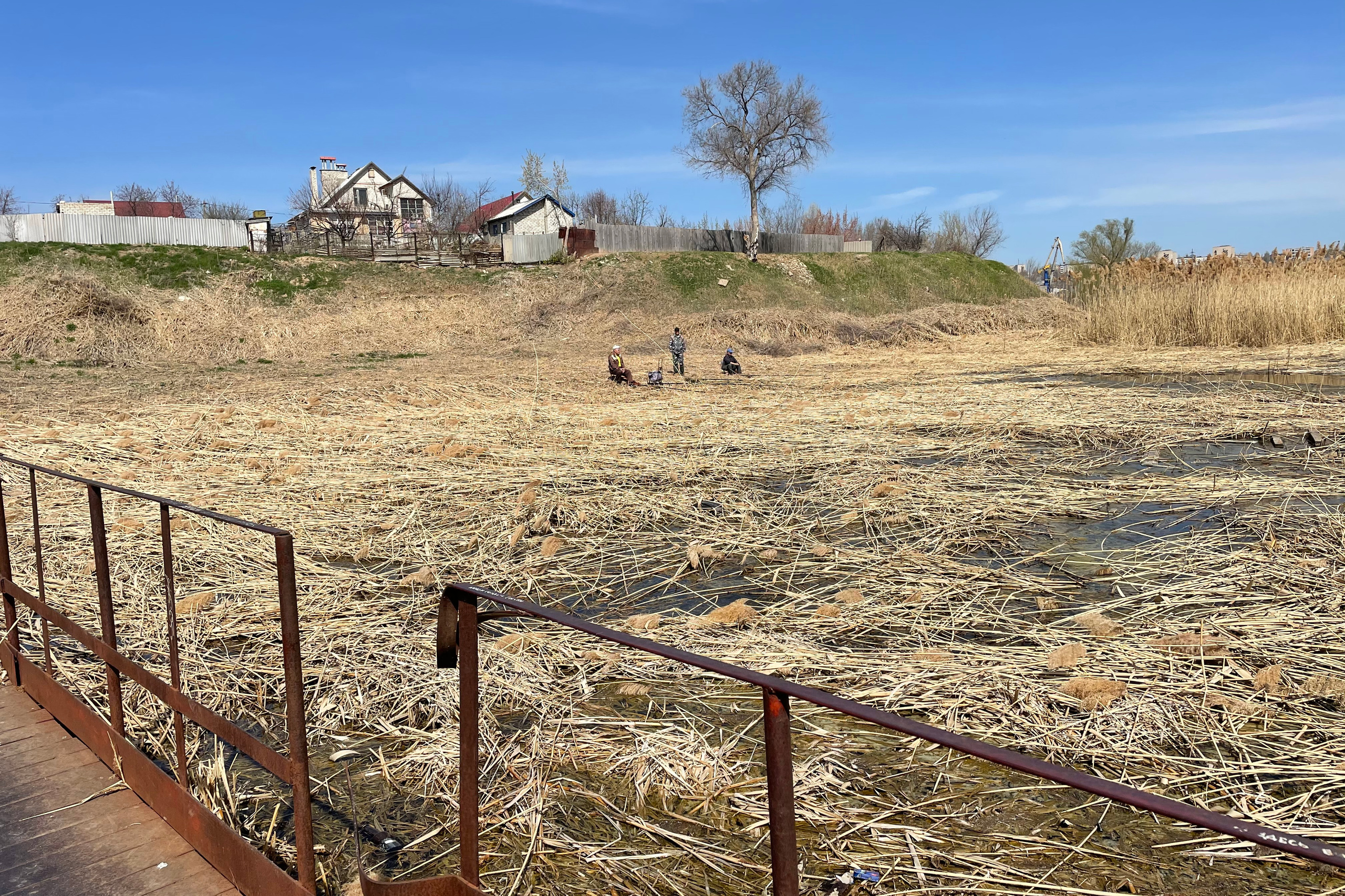 20 511 Мост, дома, камыши