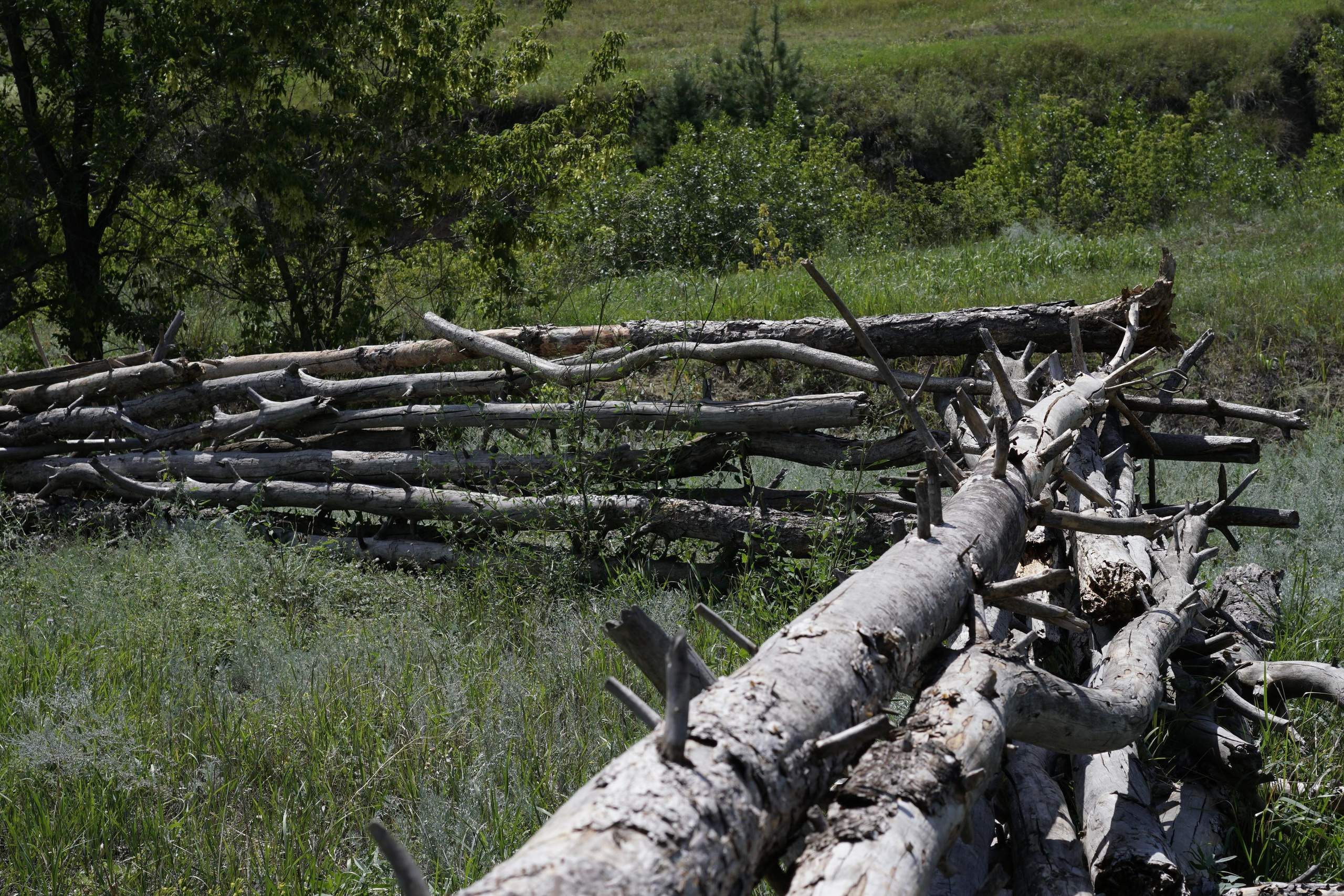 12 250 Овраг, лес, река, плетень