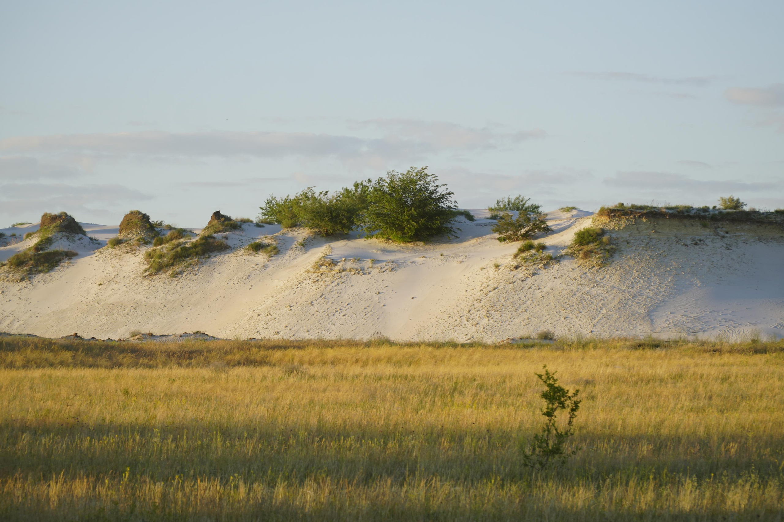 10 751 Степь. Пески белые