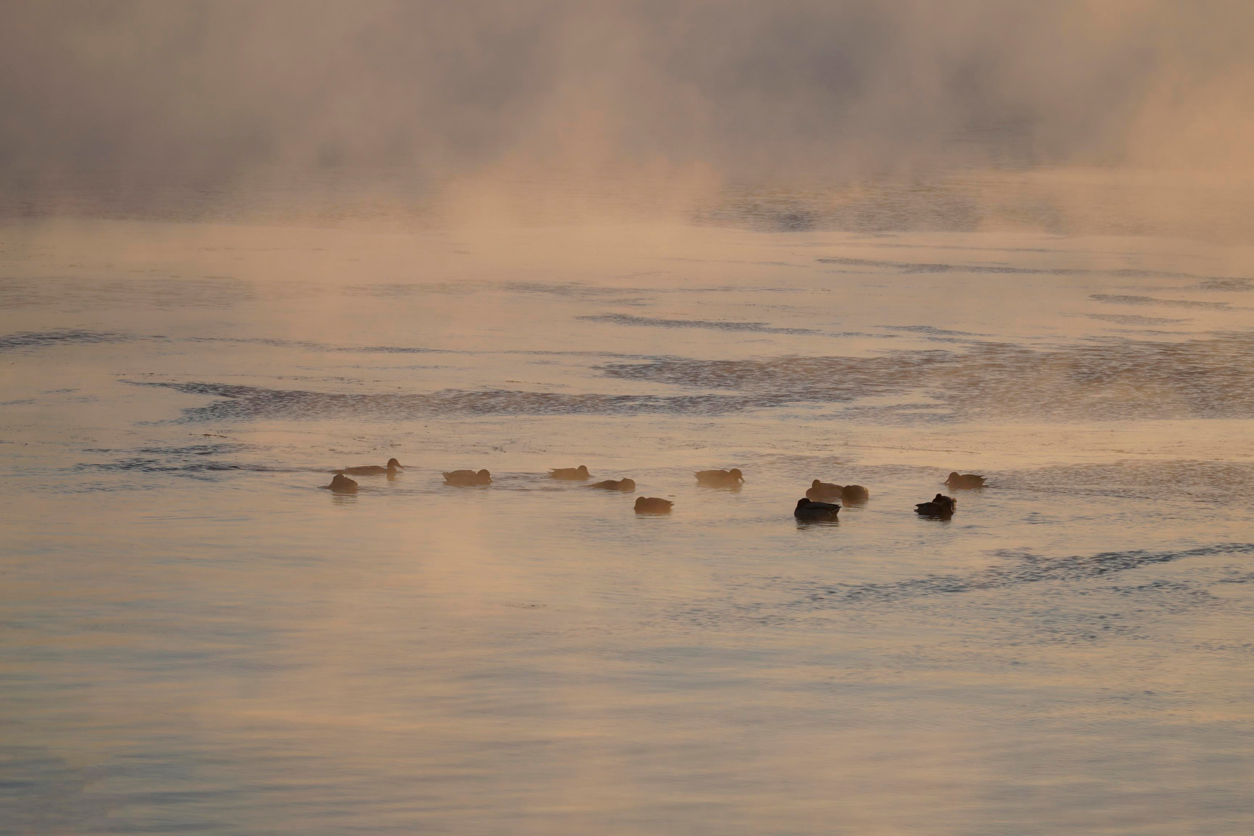 На воде 30050