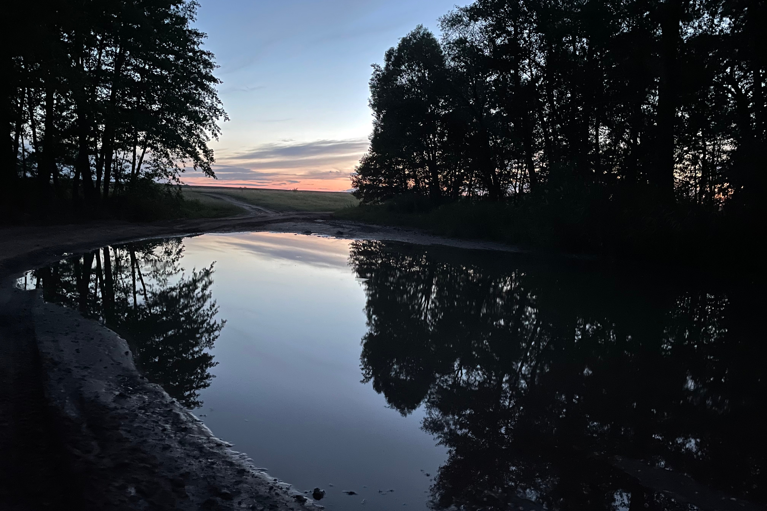 10 701 Степь. Лес