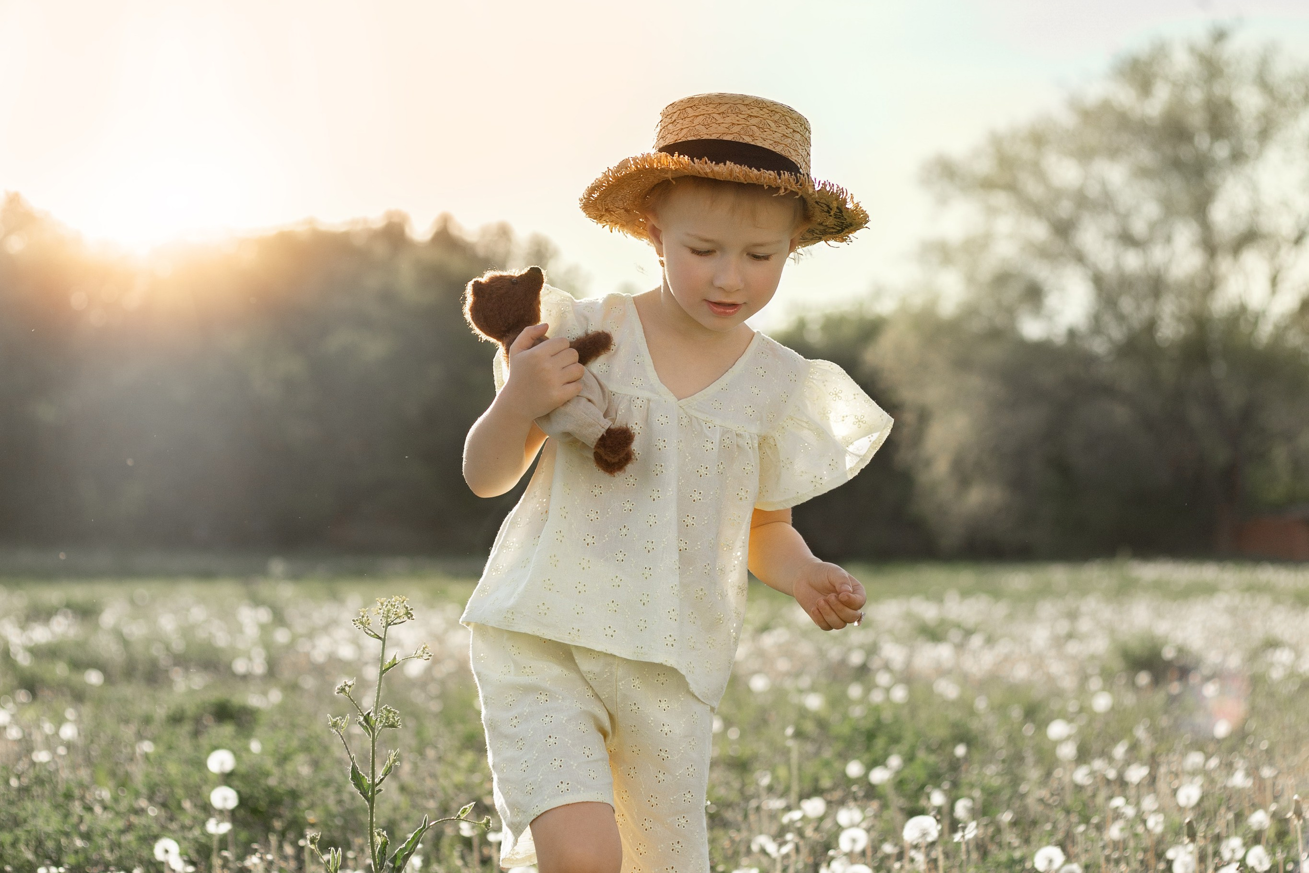 Одуванчики